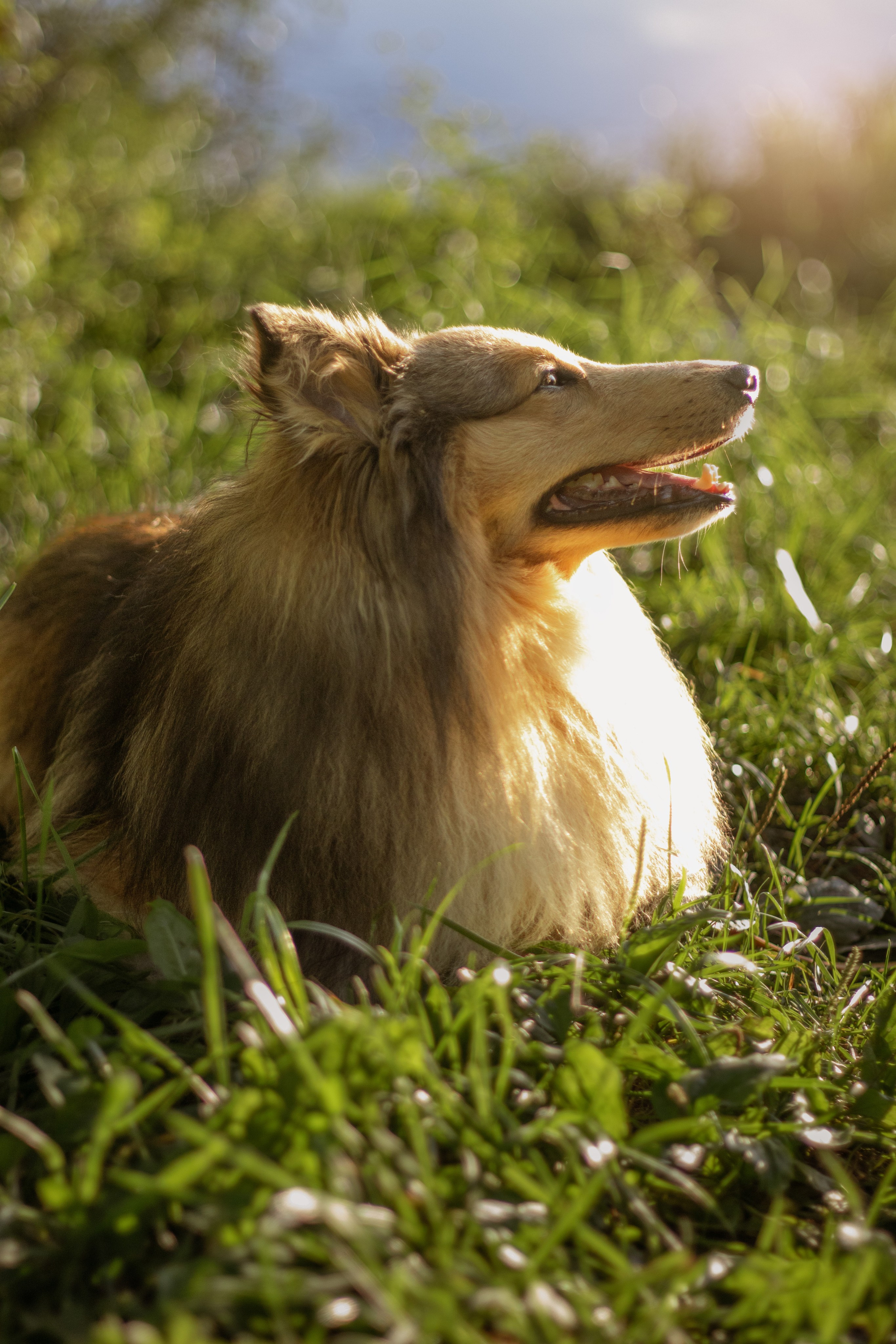 Фотограф Екатерина Попова |Семья и питомцы|НН и Дзержинск