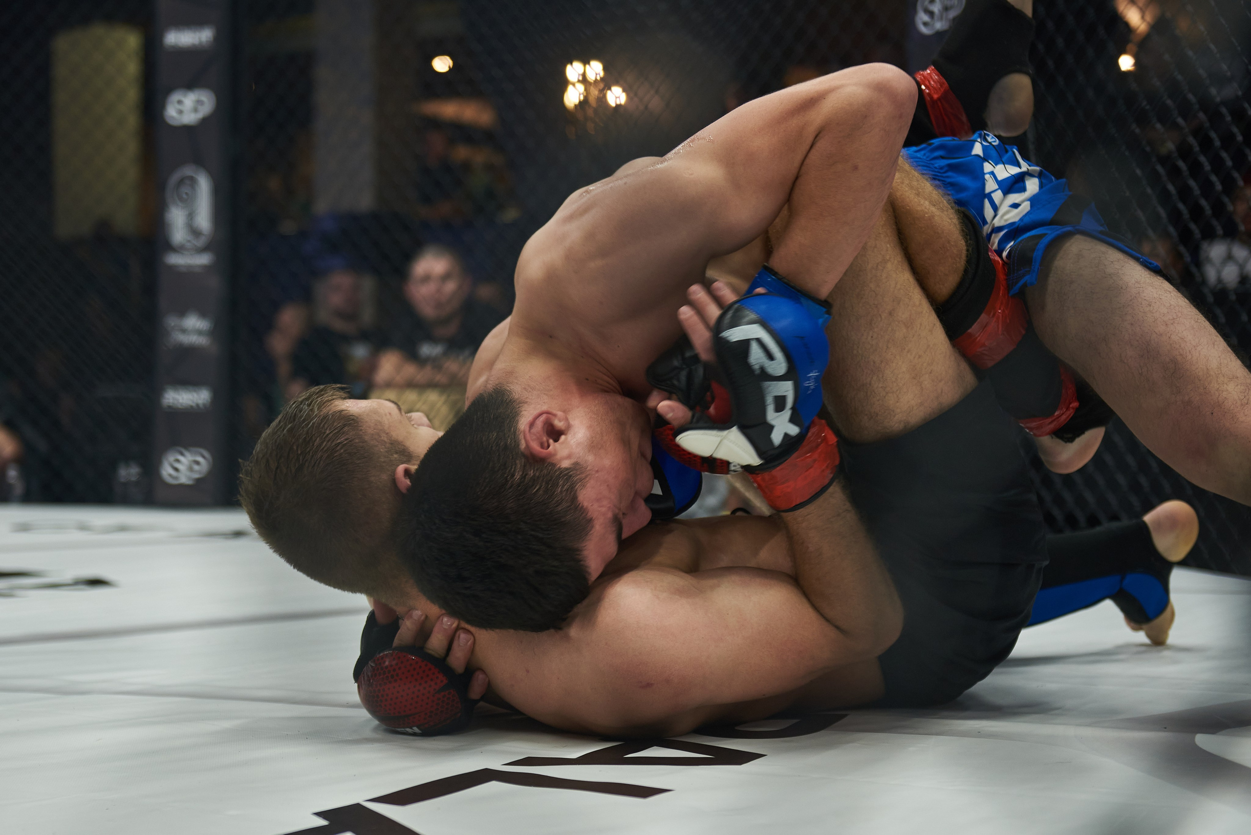 Организация и проведение спортивных мероприятий на Алтае