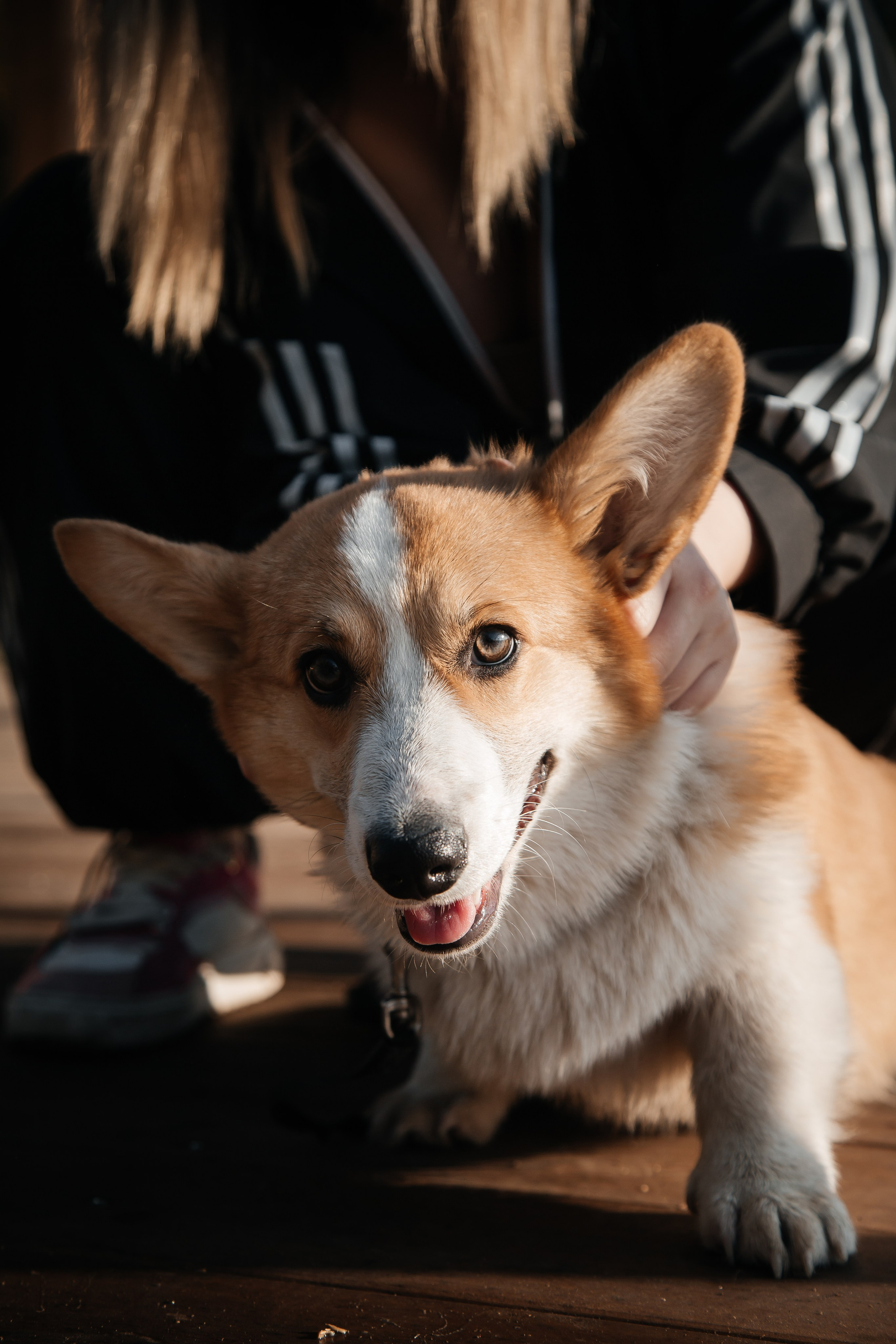 ПРАЙС. Фотограф в Киселёвске Татьяна Трухалева