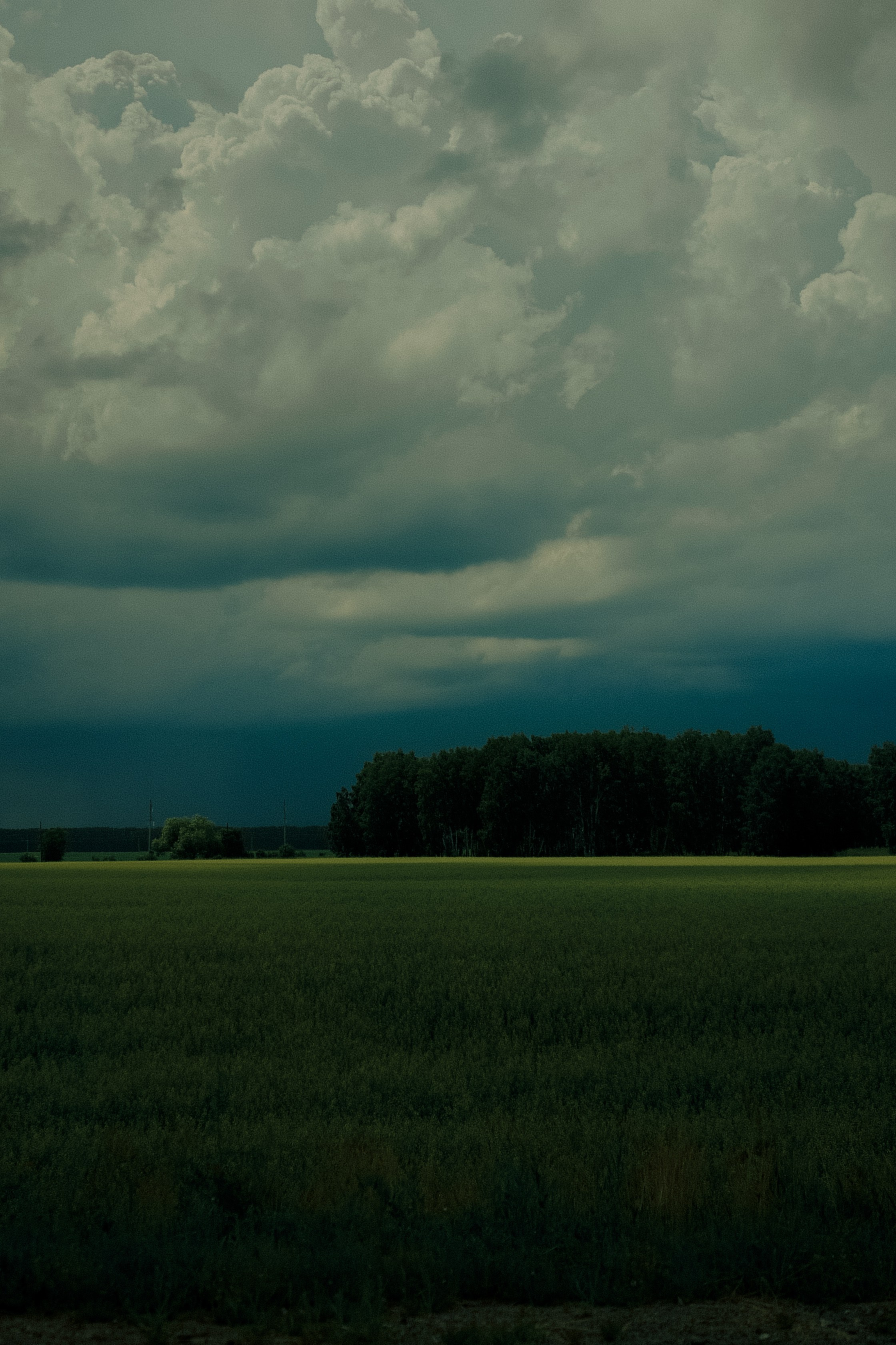 ARTDARY | Фотограф Дарья Грицай