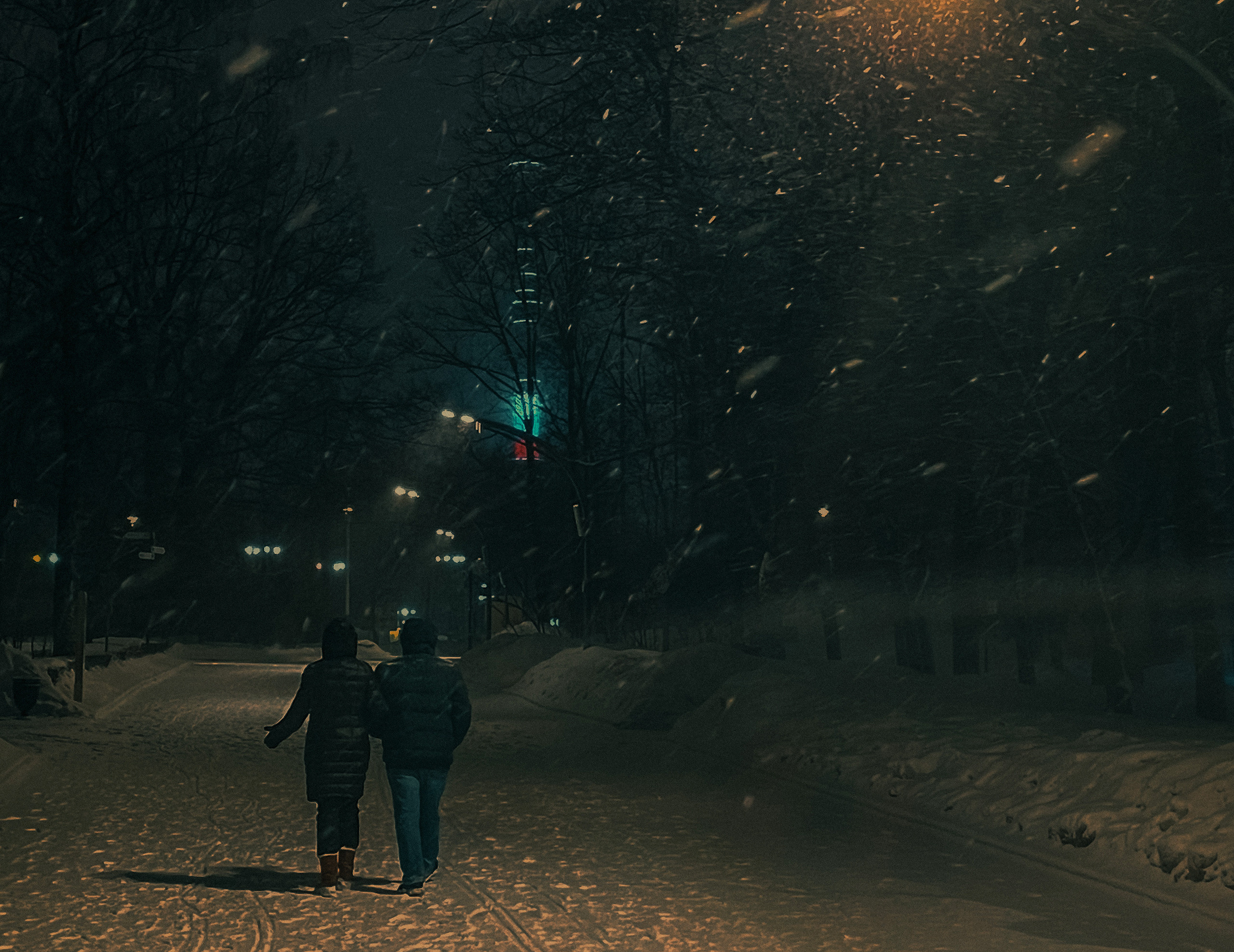 Фотозаметка #26: Зимний парк «Останкино». Проект «Фотокладовка»: блог уличной фотографии в формате street photo