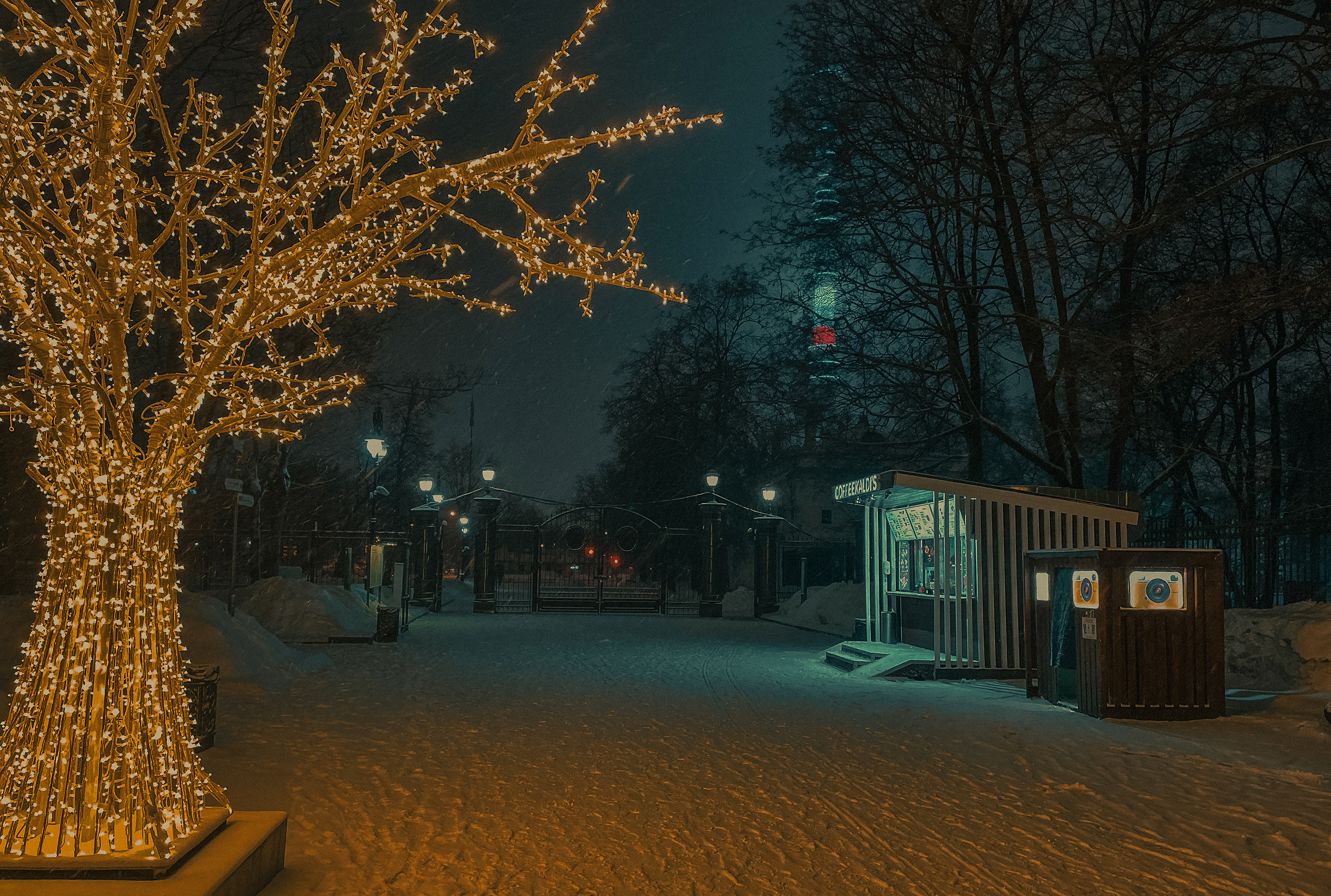 Фотозаметка #26: Зимний парк «Останкино». Проект «Фотокладовка»: блог уличной фотографии в формате street photo