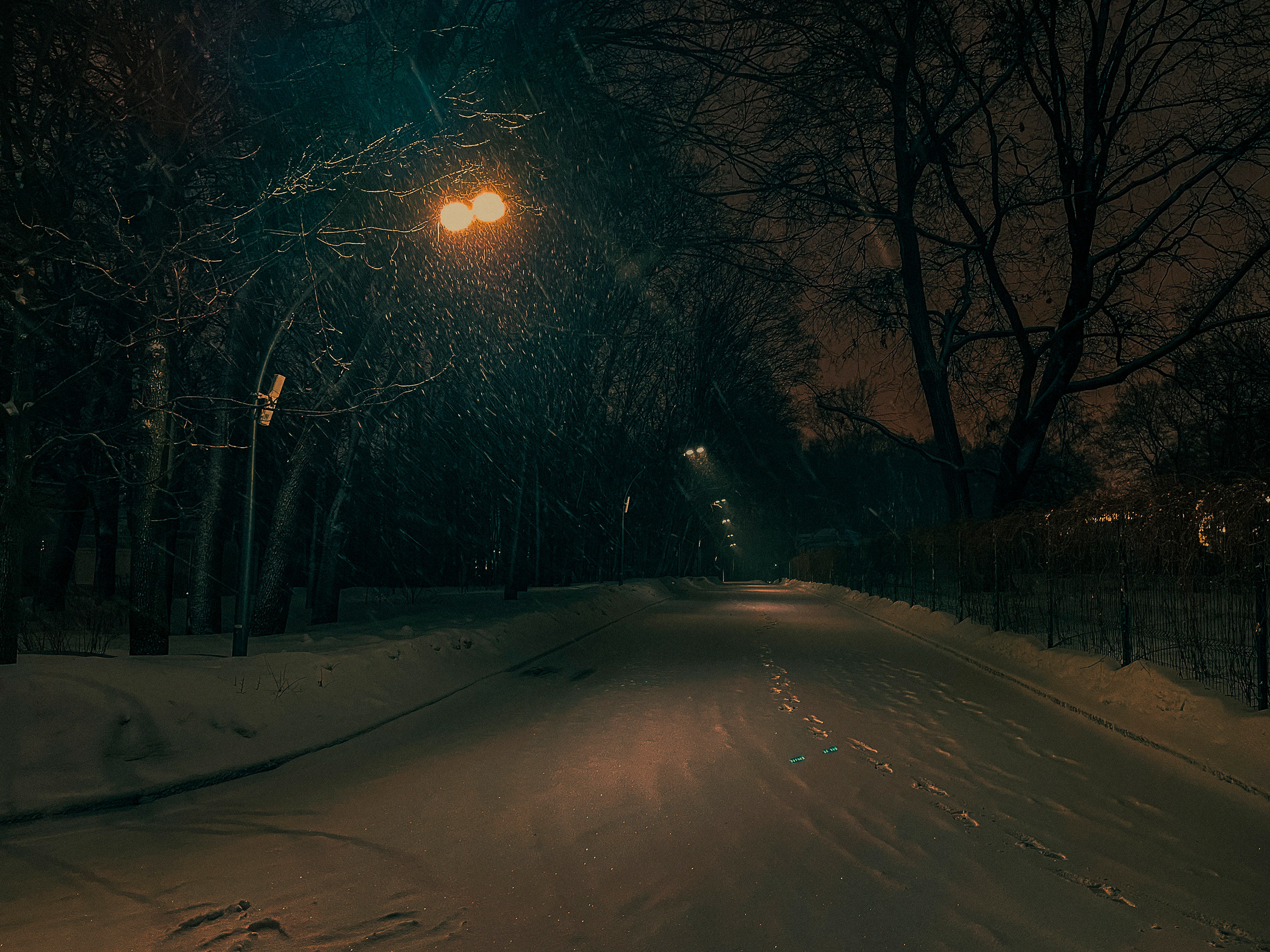 Фотозаметка #26: Зимний парк «Останкино». Проект «Фотокладовка»: блог уличной фотографии в формате street photo