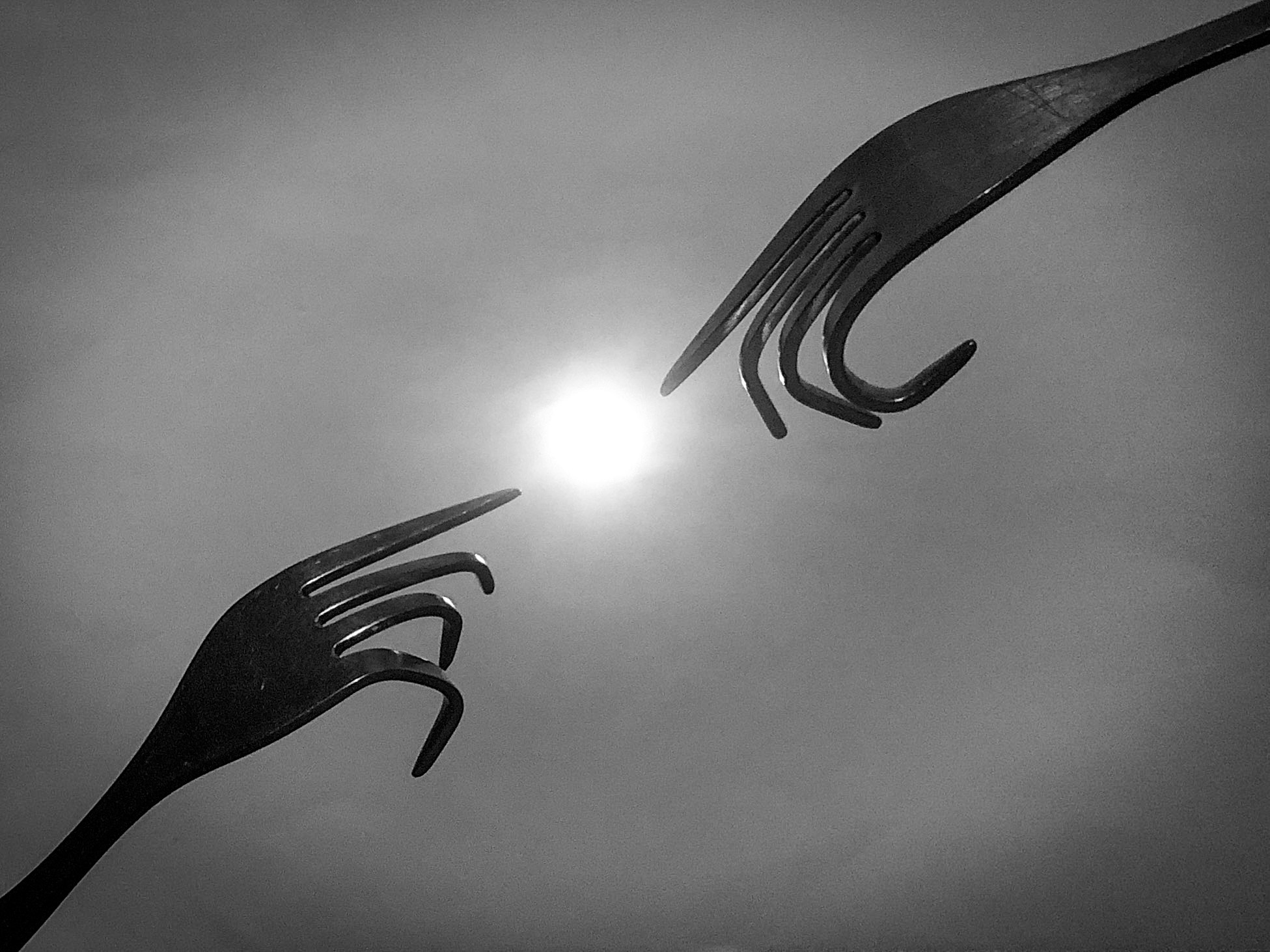 Курс «С нуля»