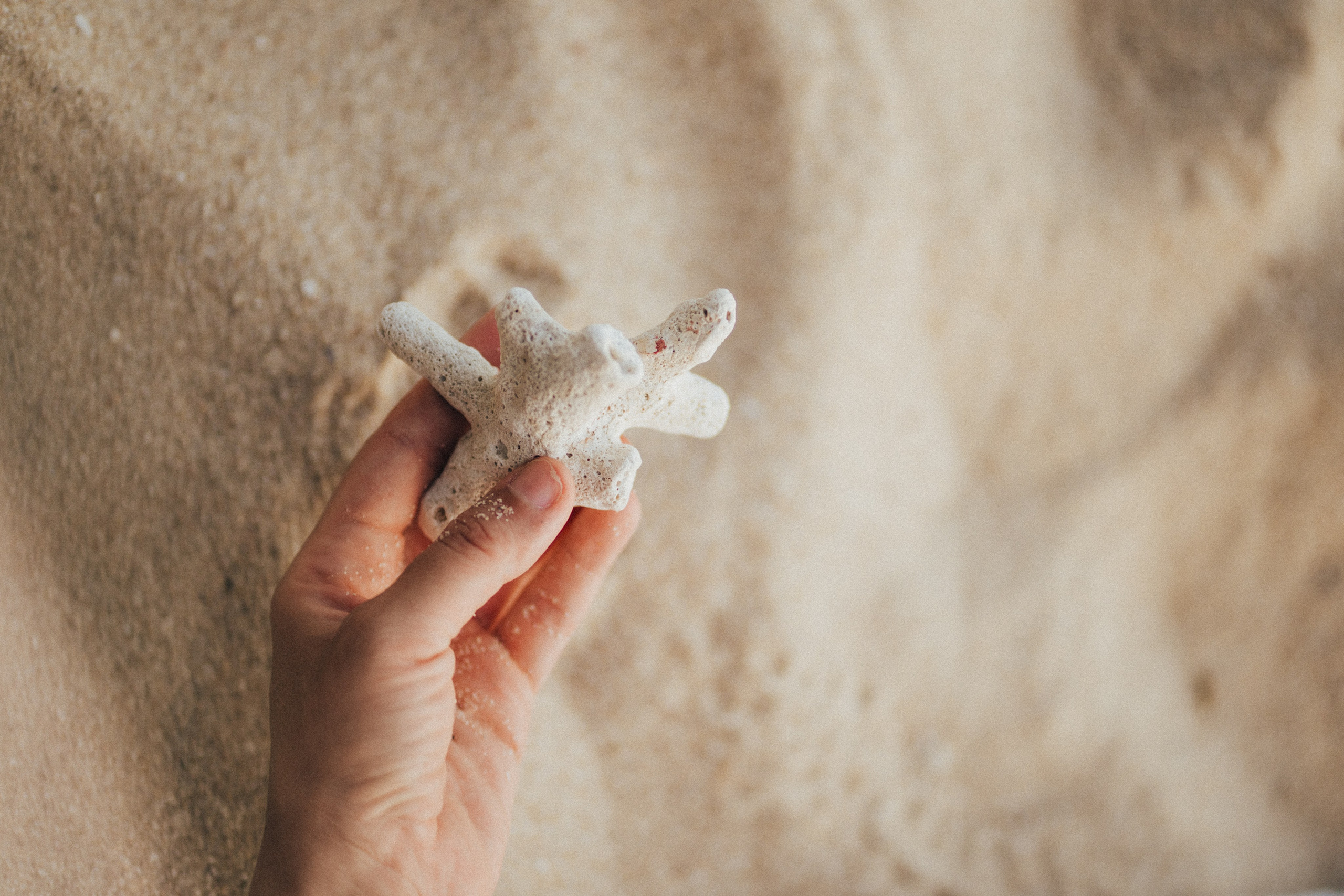 Grains of sand