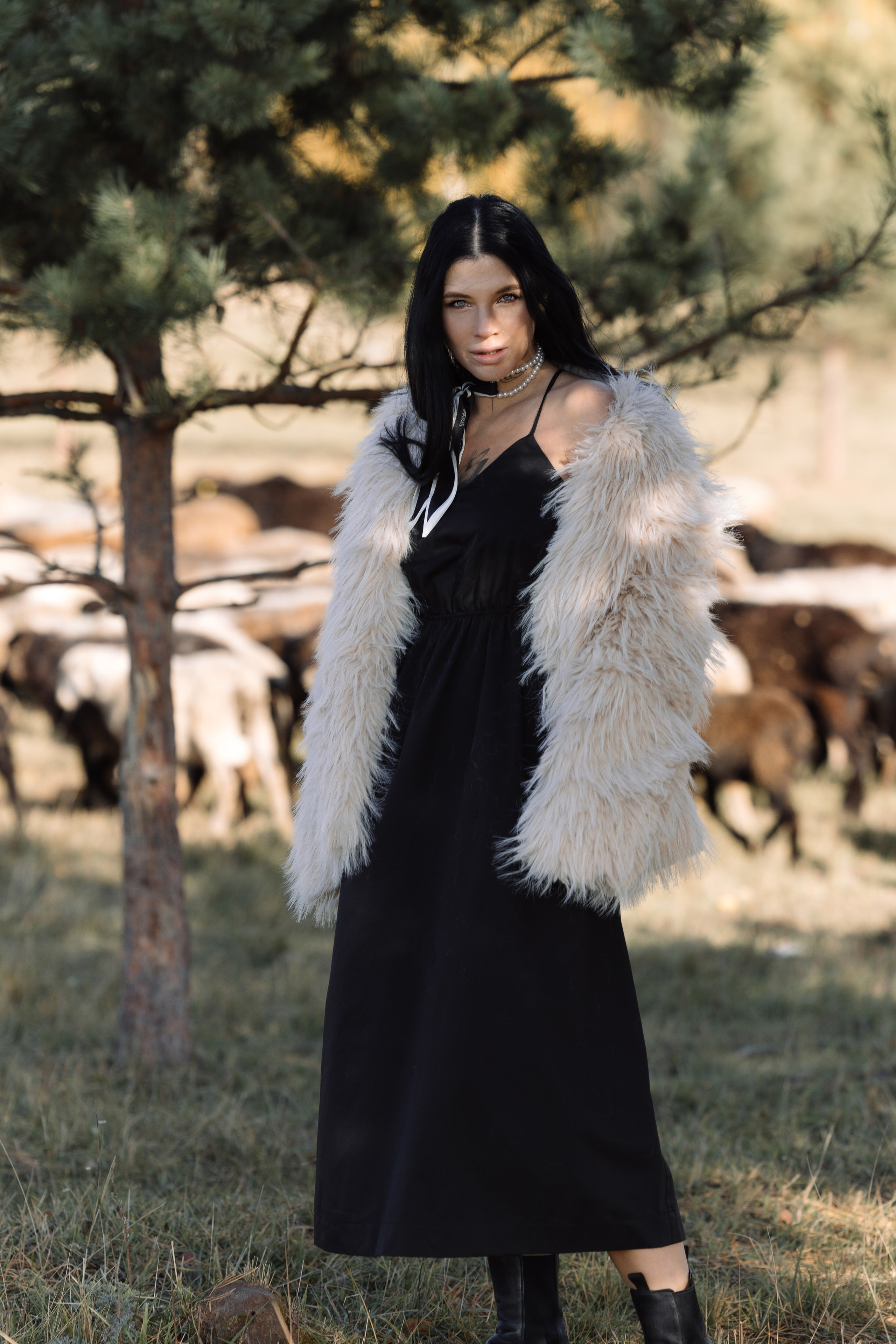 Охота на овец