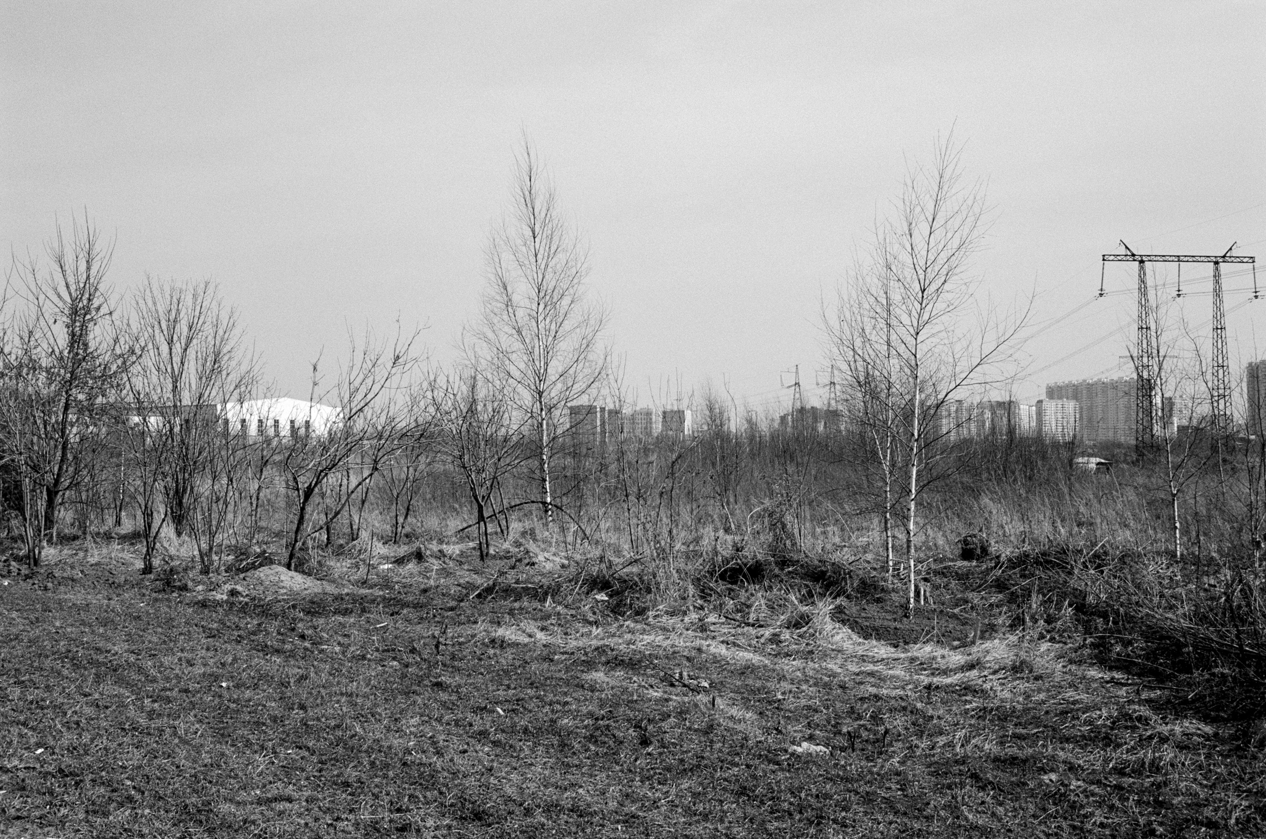 Future Perspectives (2020-2022). Вероника Трубникова — фотохудожница / Veronika Trubnikova — photoartist
