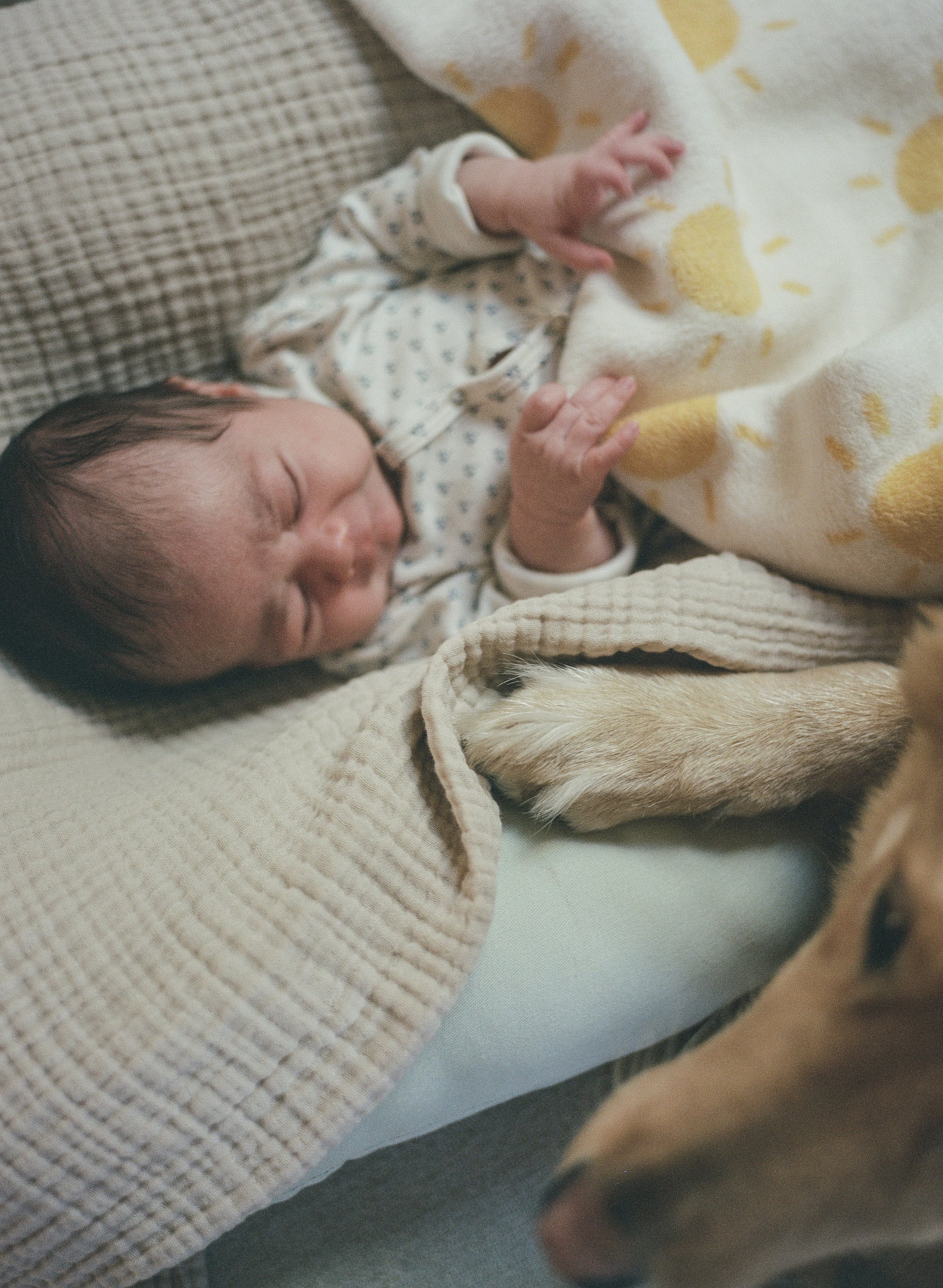 Newborn. Film photographer in Los Angeles Anastasiya Pankova