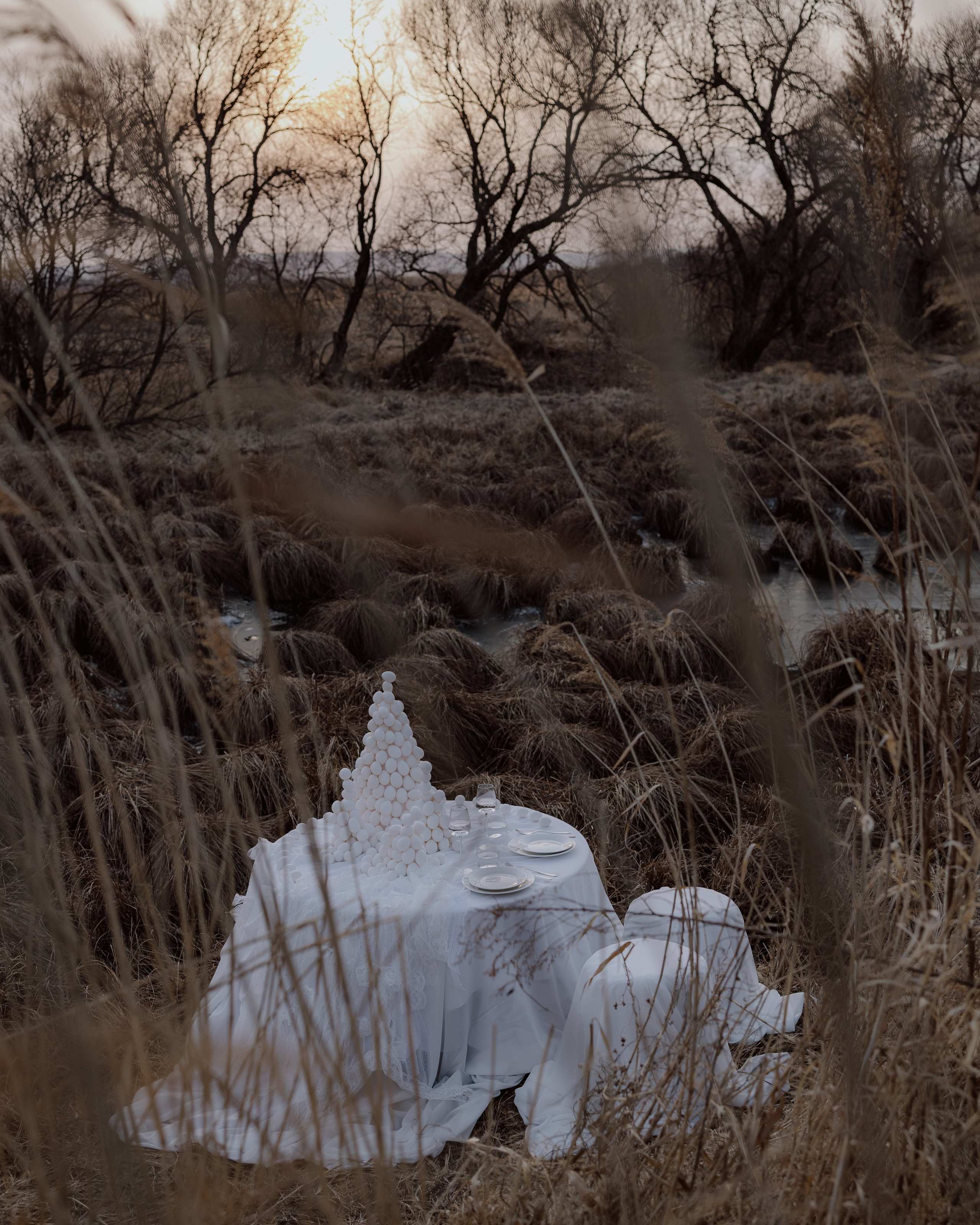 Грачи прилетели. Организация свадеб и других мероприятий во Владивостоке от «Рядом быть»