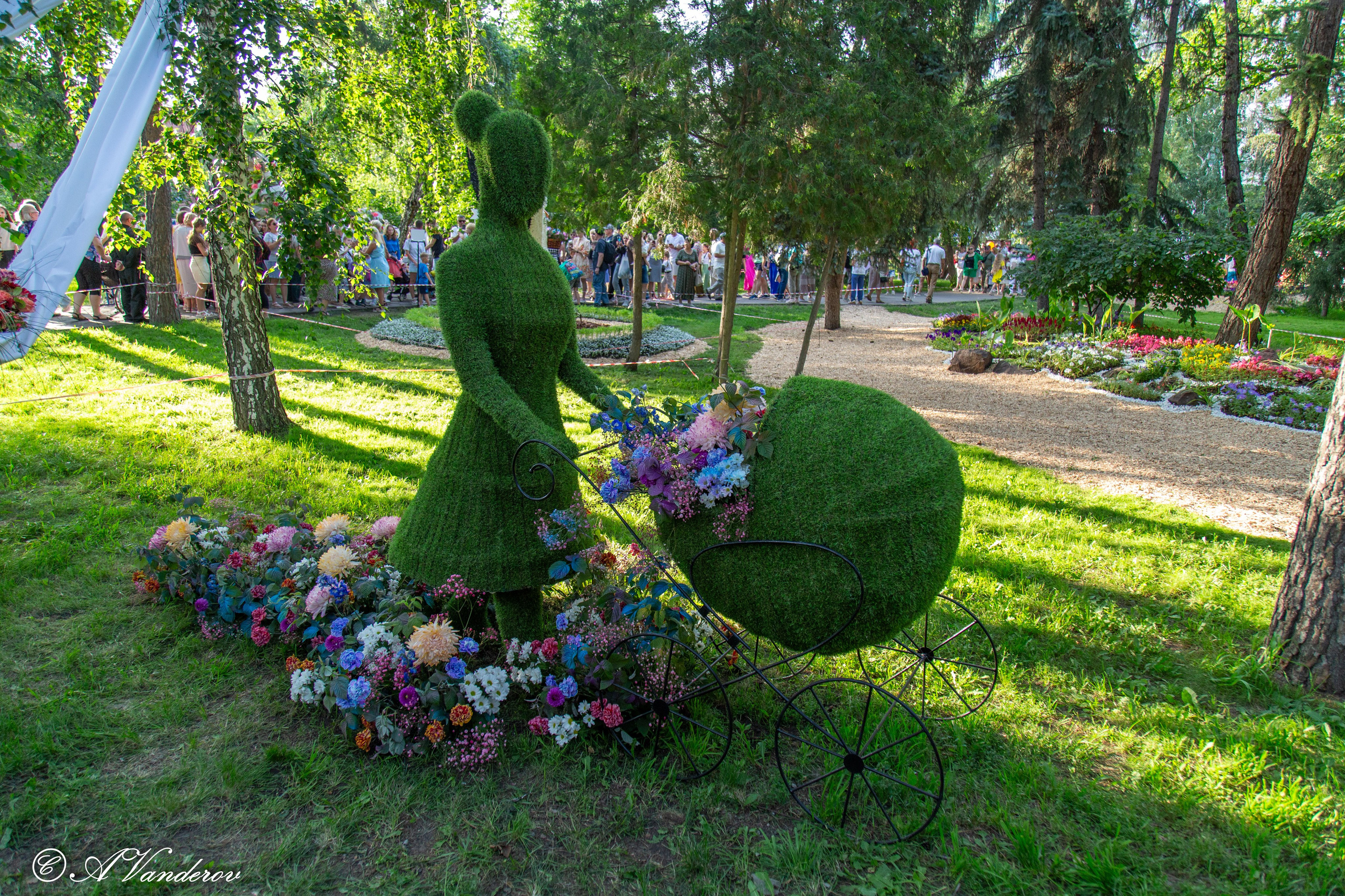 День города 03.08.2024. Фотограф Омск | Александр Вандеров