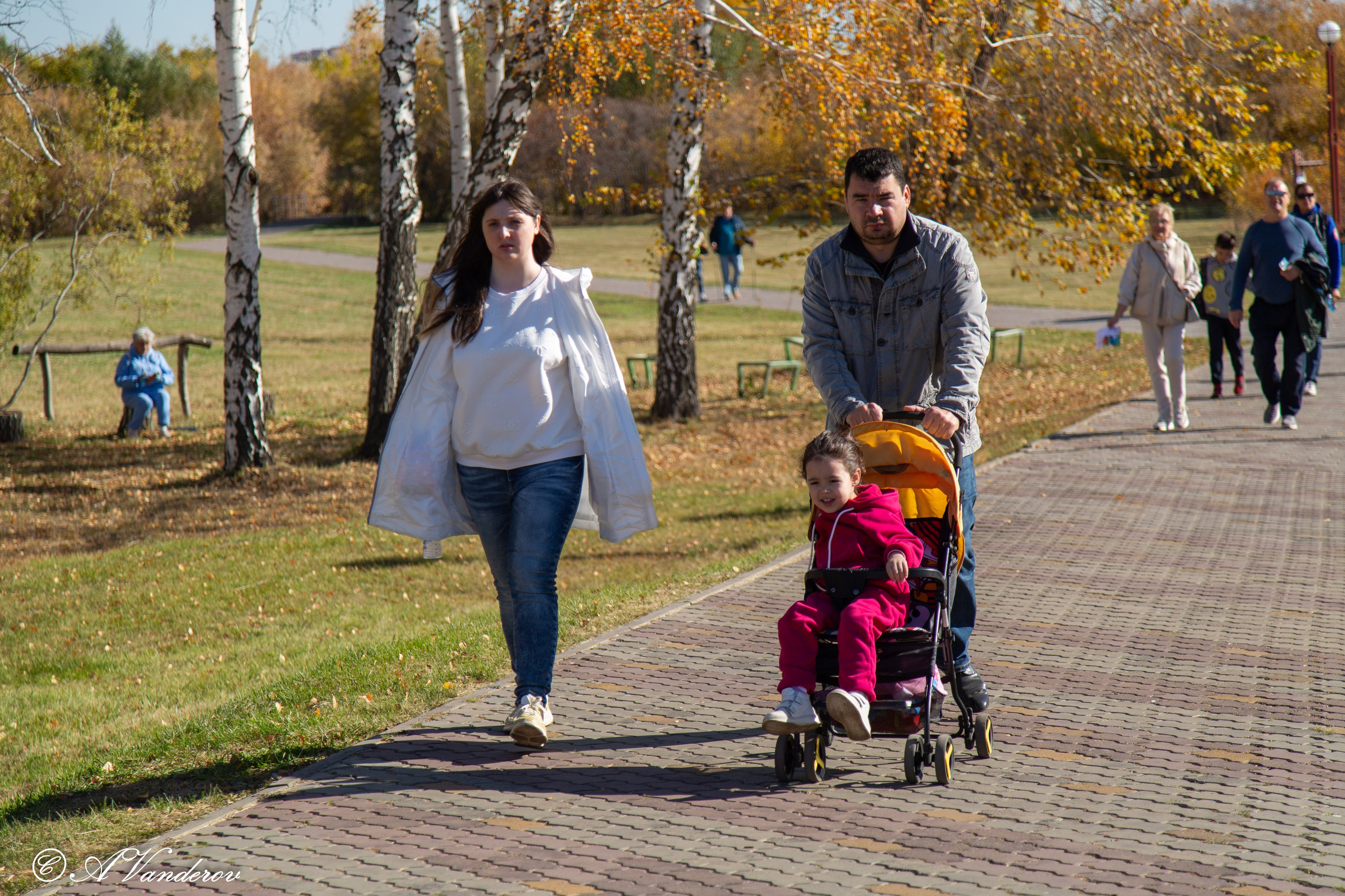 День ходьбы 2024. Фотограф Омск | Александр Вандеров