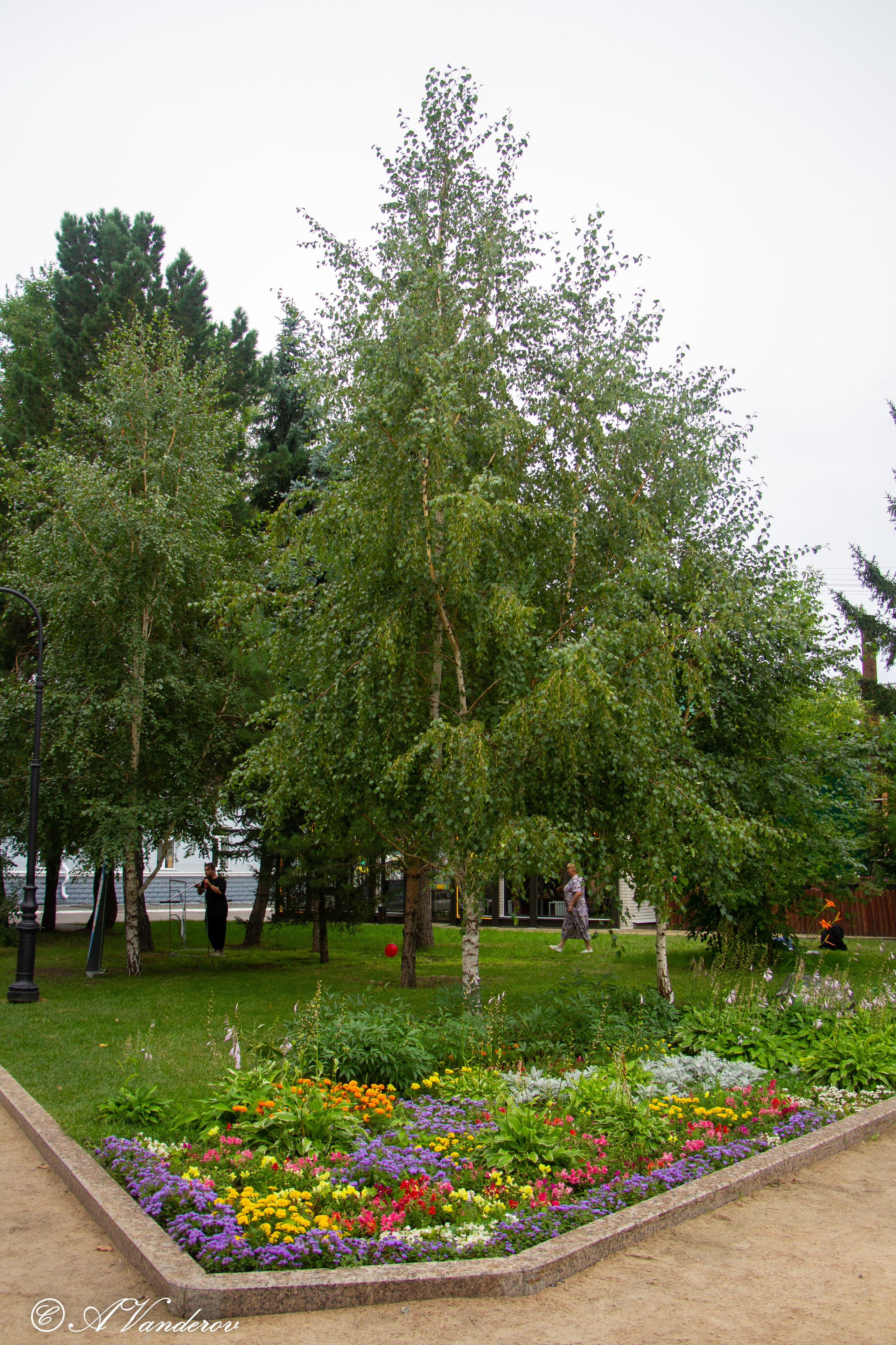 День города 05.08.2023. Фотограф Омск | Александр Вандеров