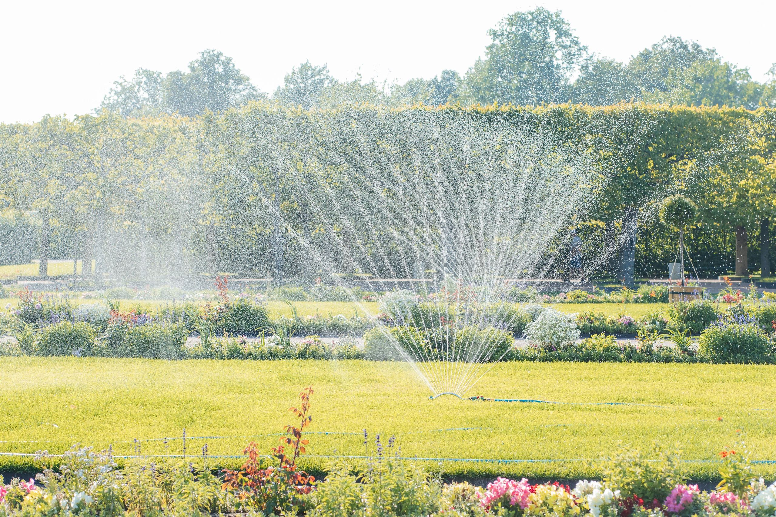 ФОТОСЕССИЯ В ПЕТЕРГОФЕ. ГДЕ СНИМАТЬ В ПЕТЕРГОФЕ