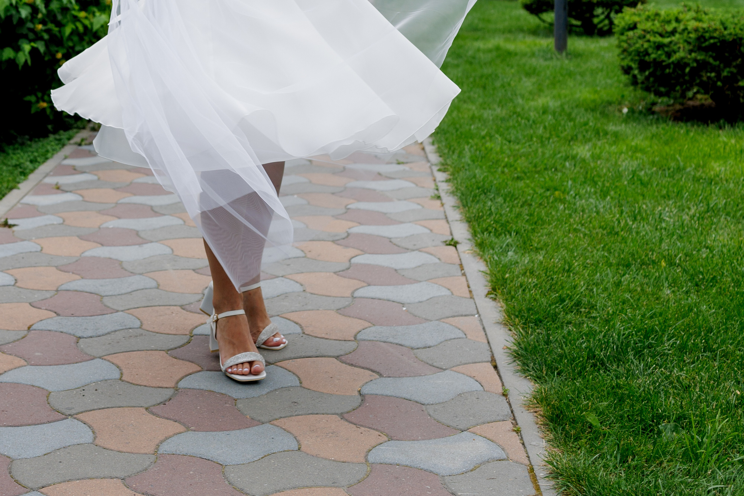 Отчет со свадьбы 20-06-2025. Серия 54