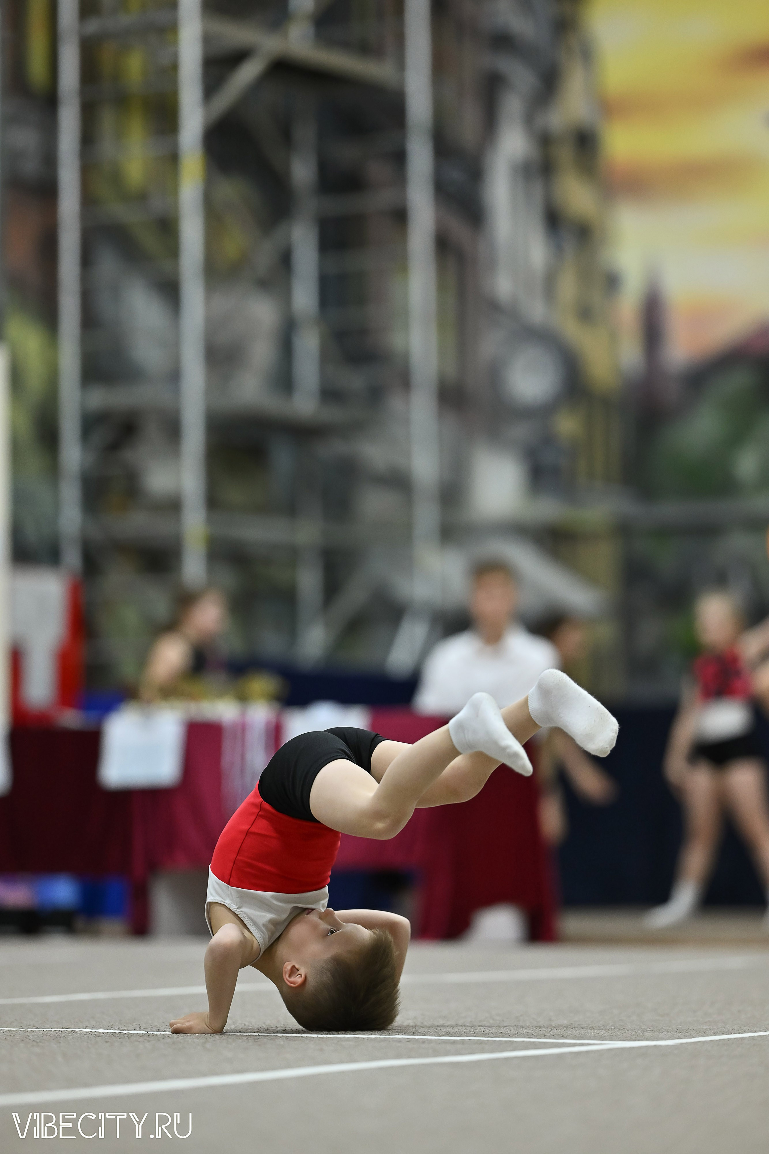 Контрольная тренировка по спортивной гимнастике. VIBECITY.RU Вайб Сити Ру Фоторепортажи Фотоотчеты Калининград