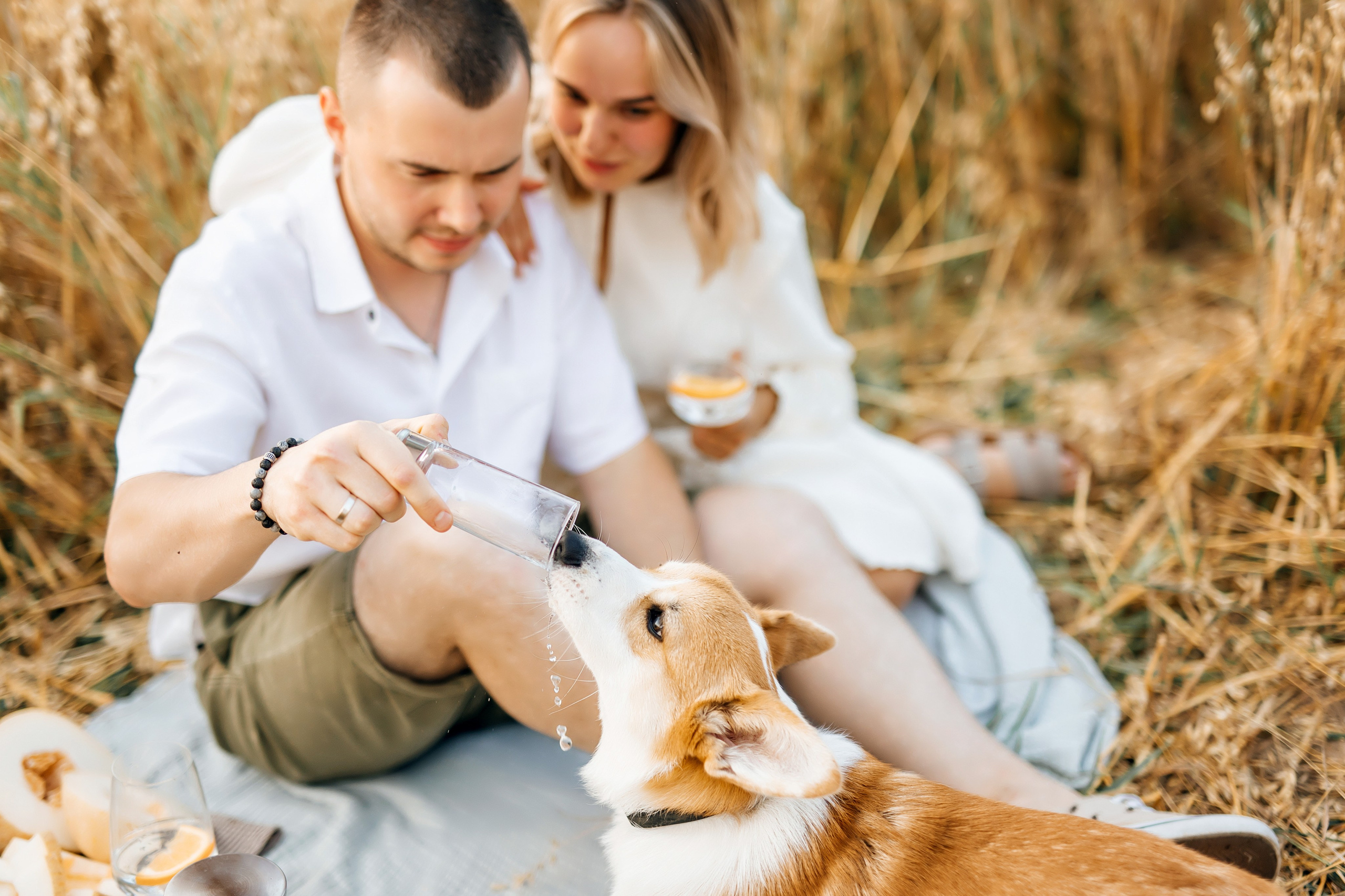 Семейная съемка. Фотограф Силиникс Екатерина