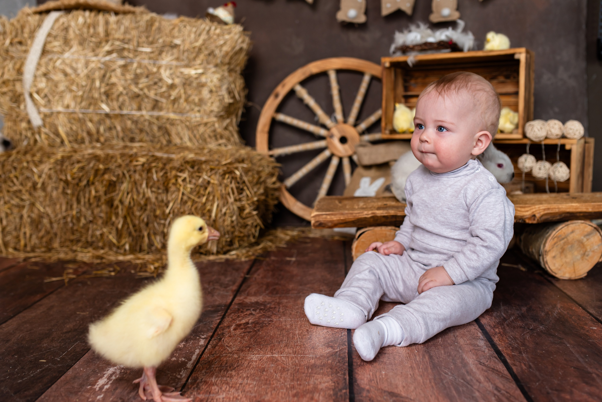 Фотопроекты в Иркутске. Ольга Ли свадебный семейный фотограф Иркутск