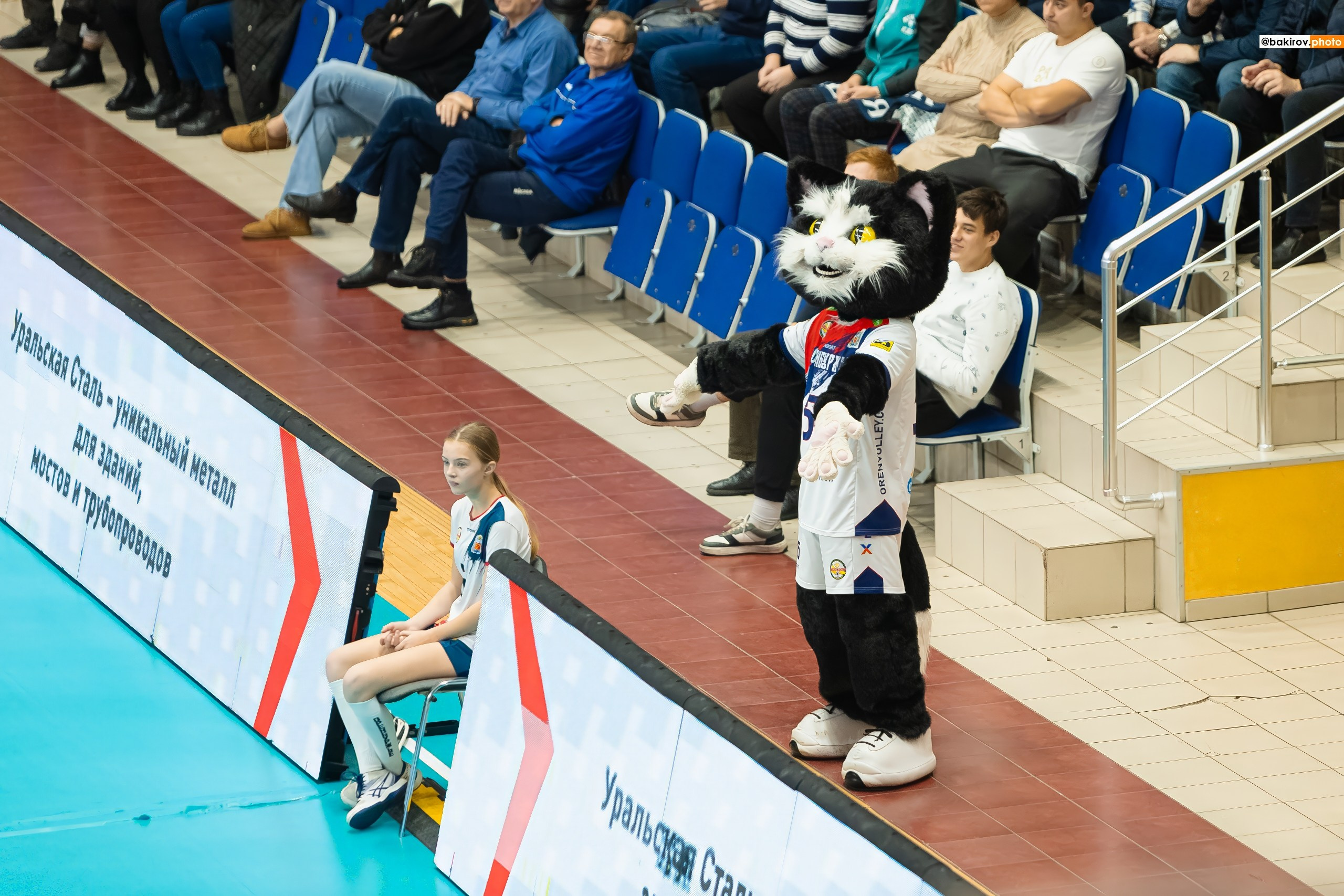 06.11 Волейбол. Нефтяник-Кузбасс. Команда специалистов в мире фотографии и видео. Детский фотограф, семейный фотограф