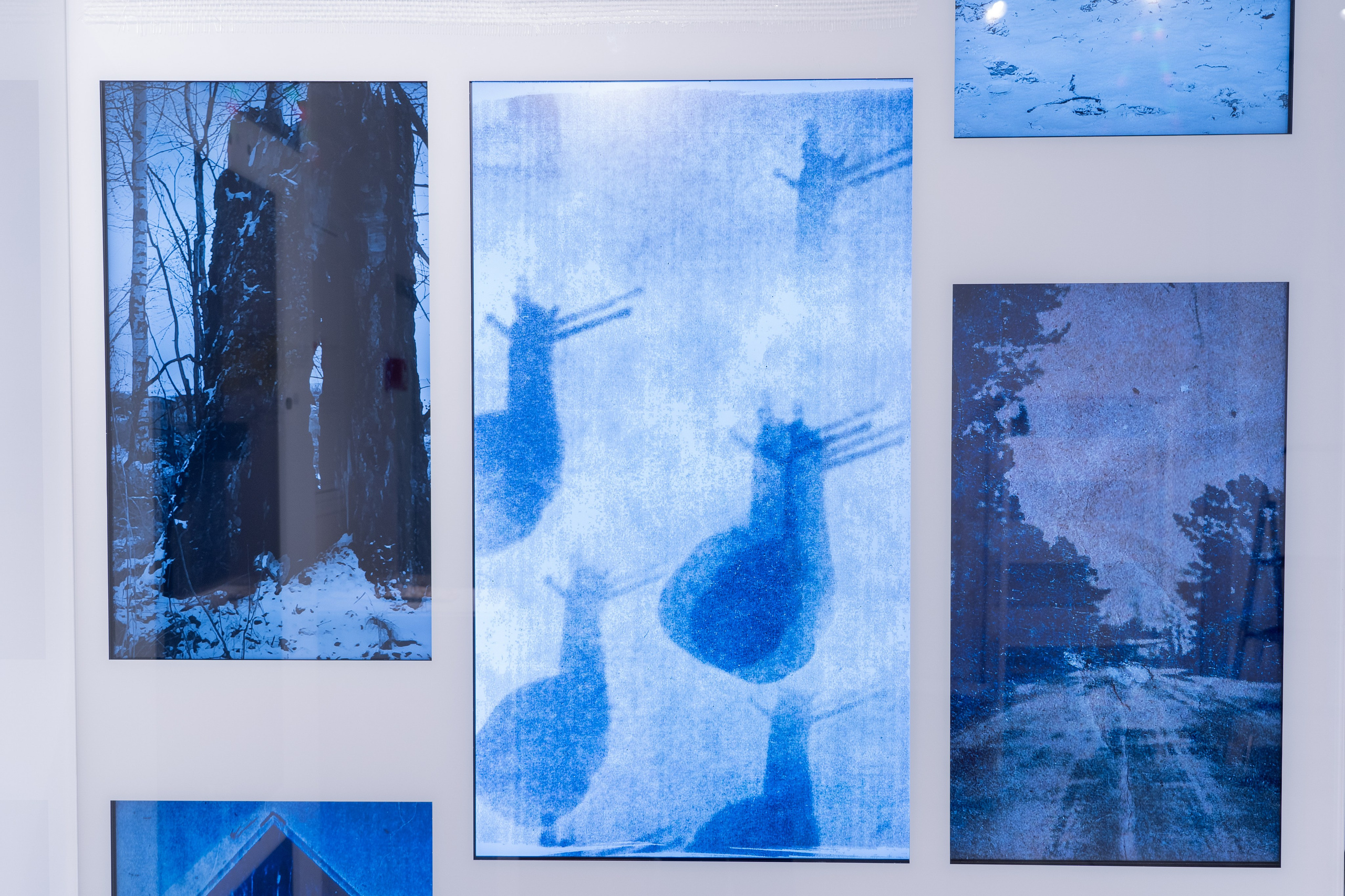 Укрытие. Катрин Эдельвак