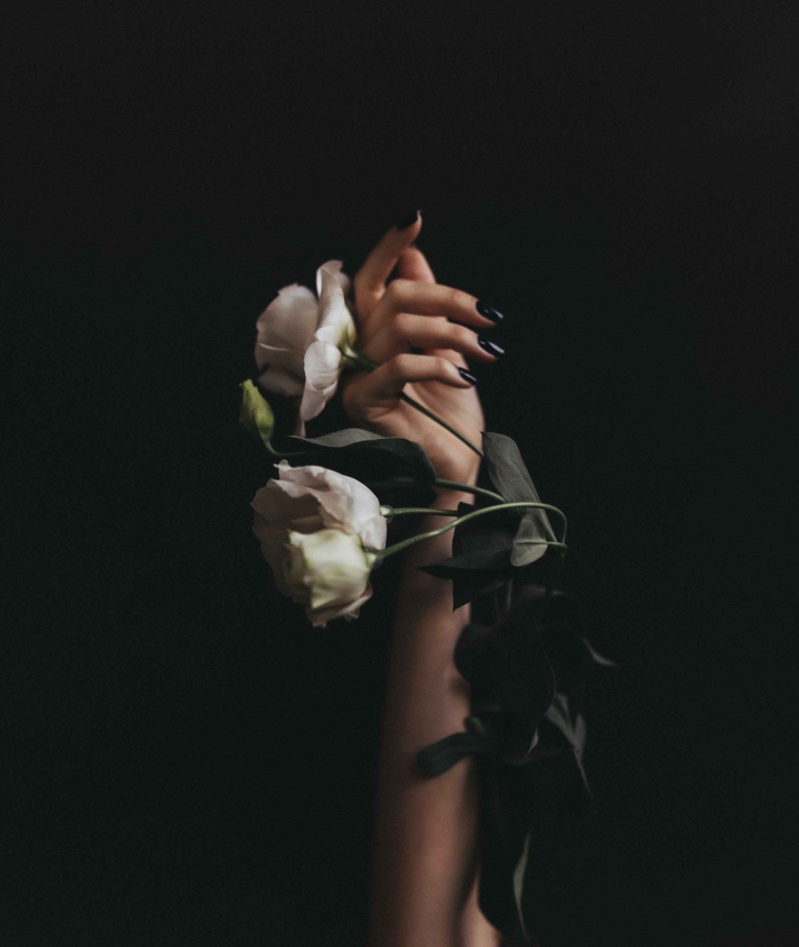 Flowers.art.yana. Фотограф Дарья Филатова