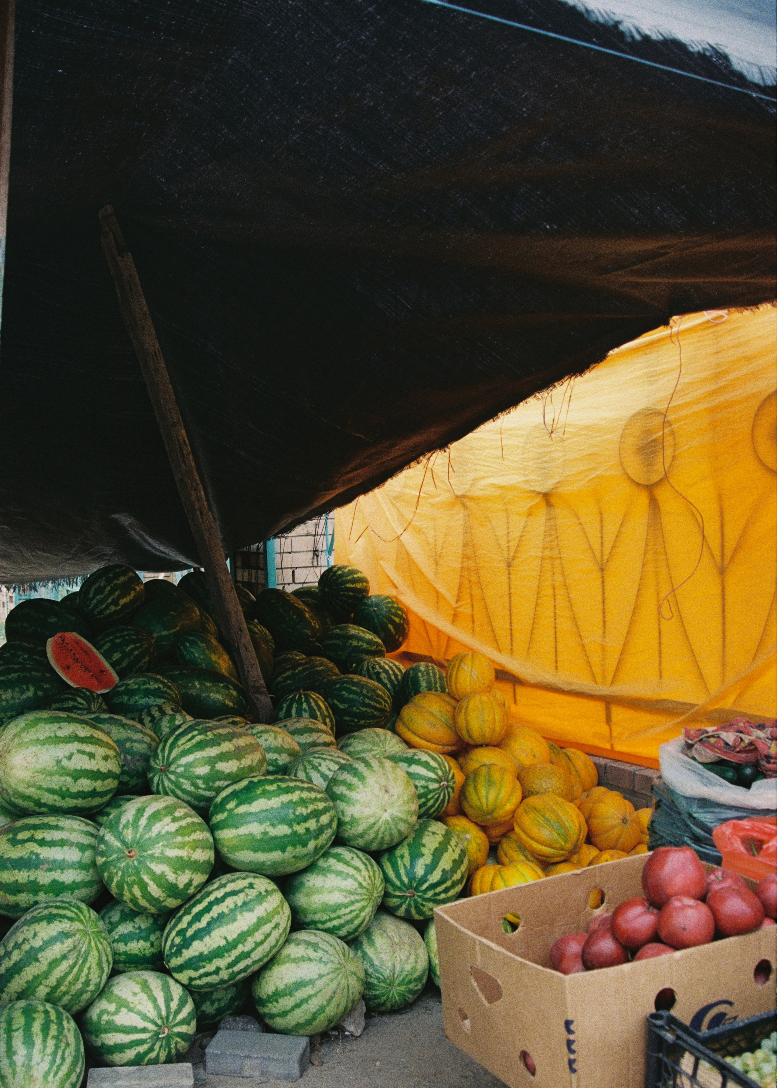 (Astrakhan) in a time capsule. Lidia Anosova