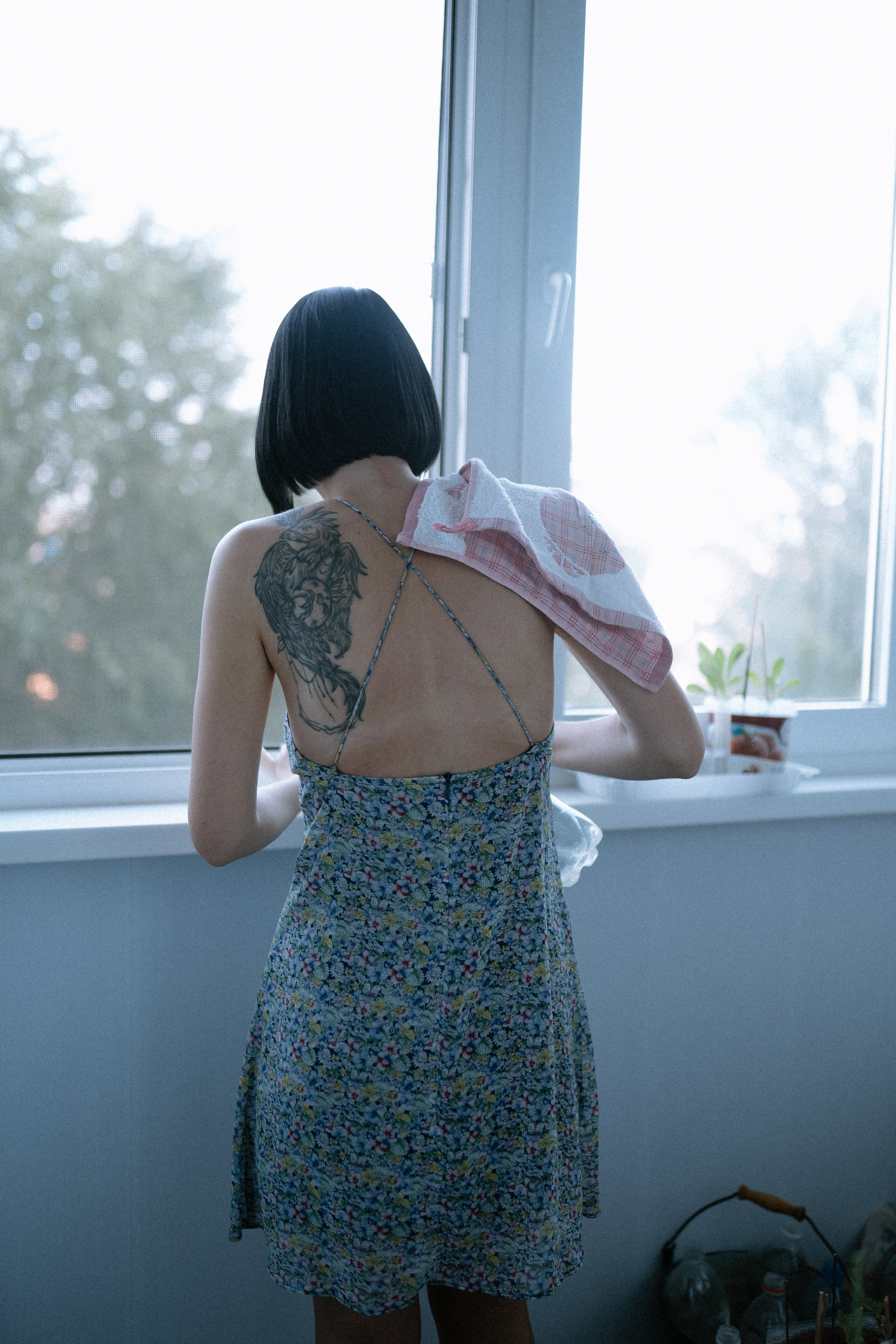 Мир, где рожден помидор. Андрейко Надежда