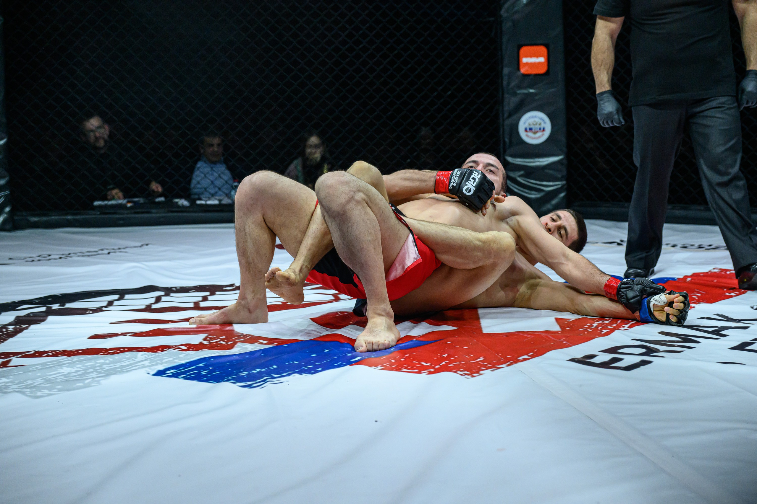 Фотосъемка профессионального турнира по смешанным единоборствам. Профессиональная фотосъемка. Ростов-на-Дону
