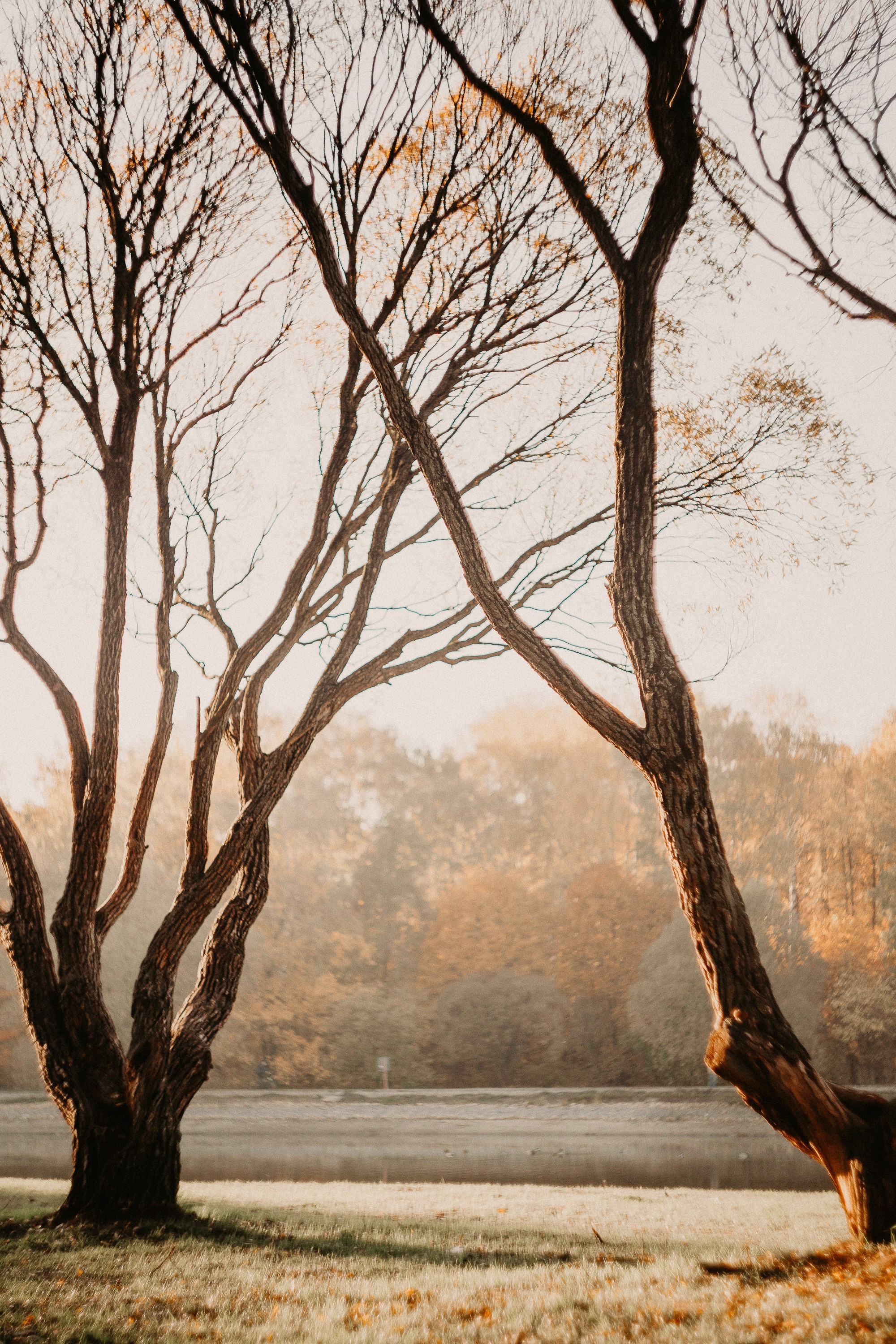 Блог о фотографии