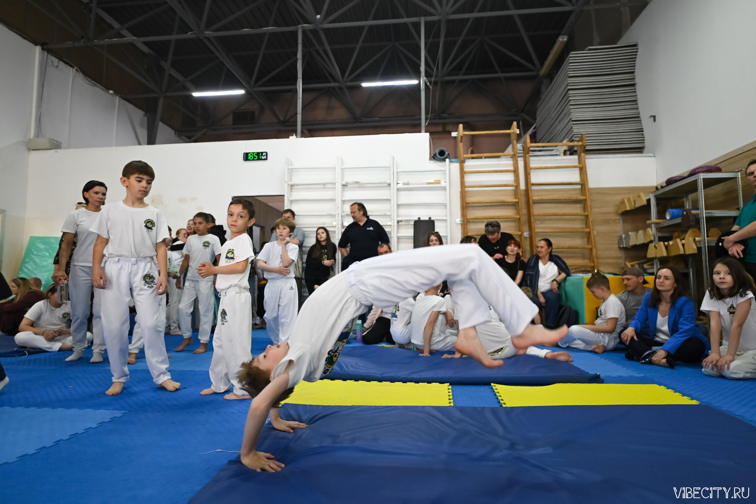 Capoeira: 4-е batizado e Troca de cordao. VIBECITY.RU Вайб Сити Ру Фоторепортажи Фотоотчеты Калининград