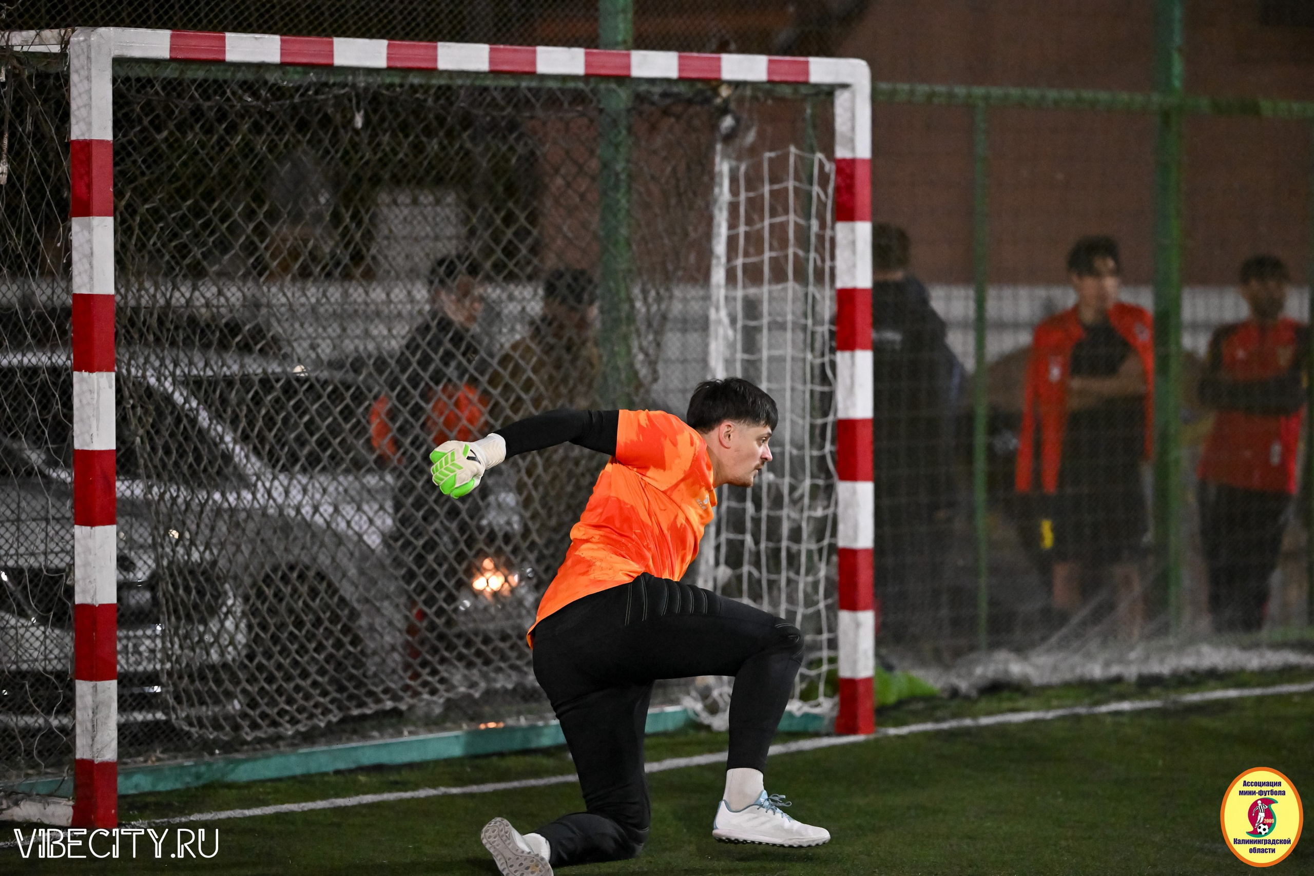 КУБОК ДРУЖБЫ. VIBECITY.RU Вайб Сити Ру Фоторепортажи Фотоотчеты Калининград