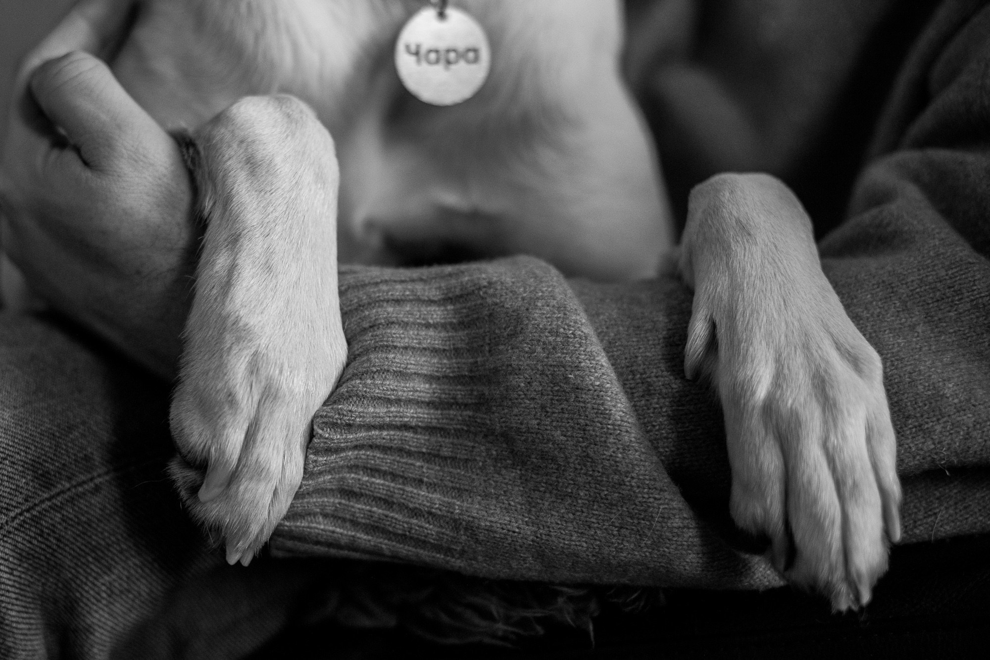 Ефремов Валерий Анатольевич, фотосессия. Юлия Лисняк, контент-фотограф в Санкт-Петербурге