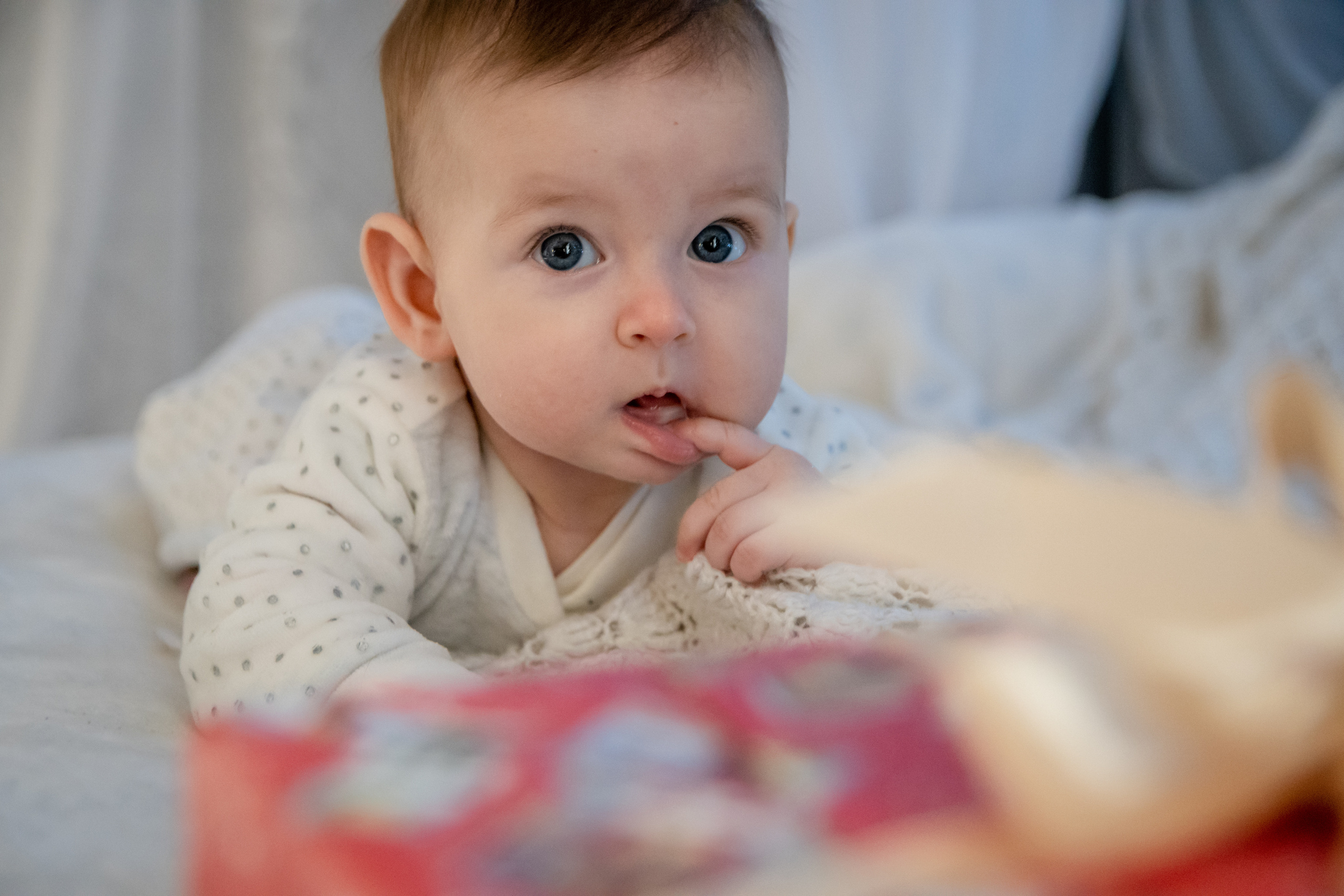 Валерия и Алиса — мои девочки!. Фотограф в Сузуне — Зоя Попова (Собственная фотостудия)