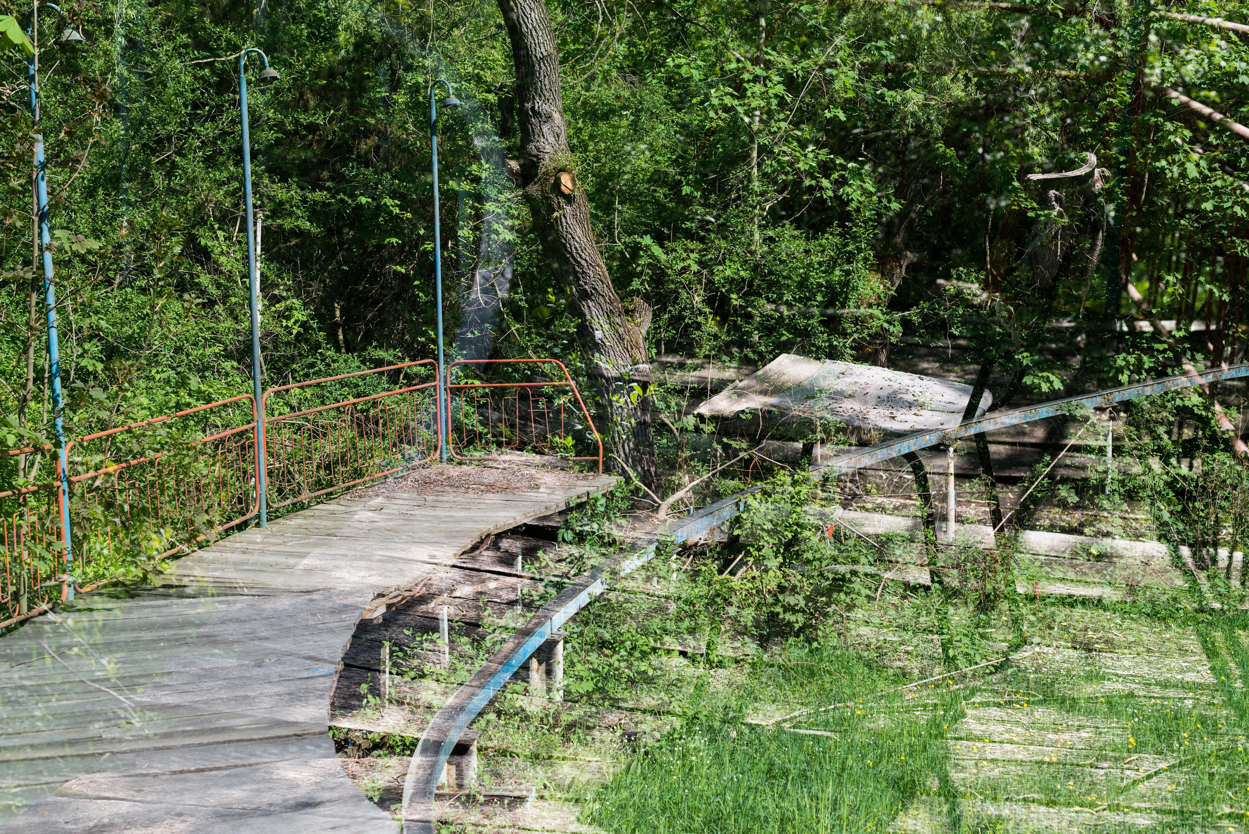 Dilijan park, Armenia. Событийный и тревел фотограф в Москве и по всему миру Мария Салахутдинова