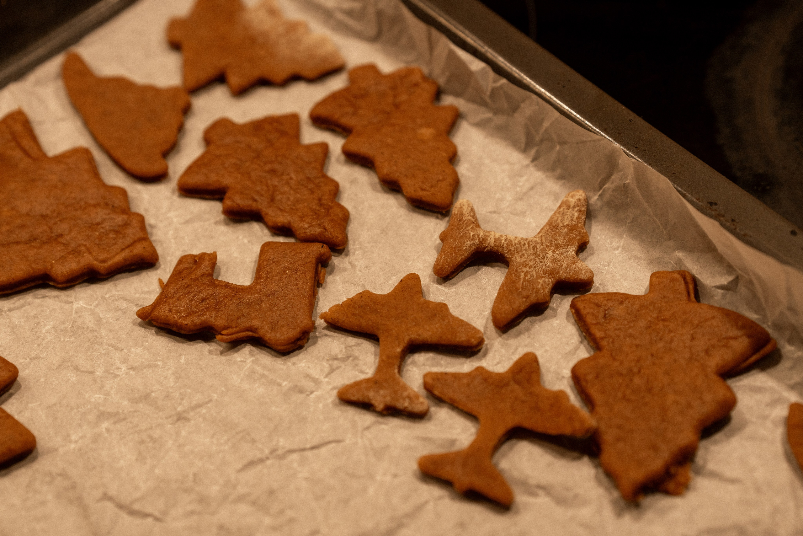 Светлана НГ. Семейный фотограф в Санкт-Петербурге — Наташа Тарасенко