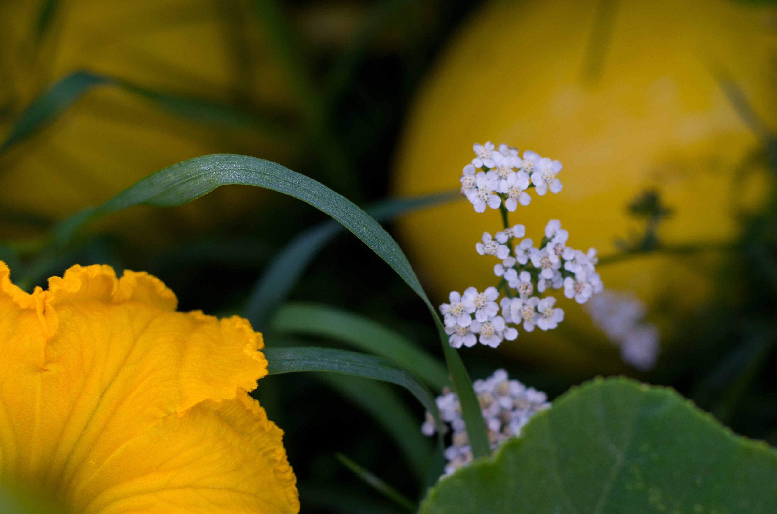 Портретная и предметная фотография. Столярное дело. Дракон и Ведьмочка — творческая коллаборация