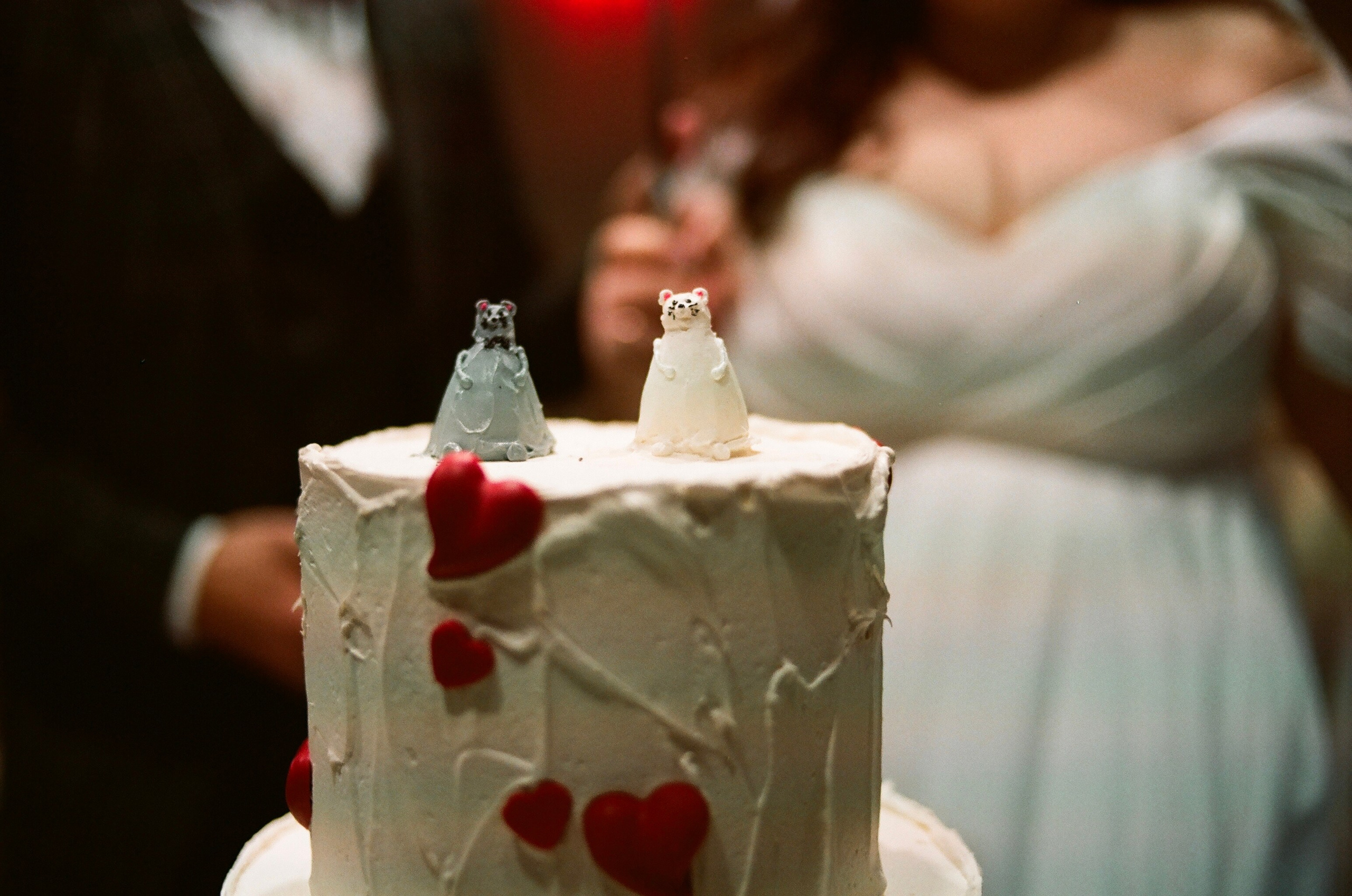 WEDDING. Фотограф, который снимает любовь в Санкт-Петербурге и Череповце