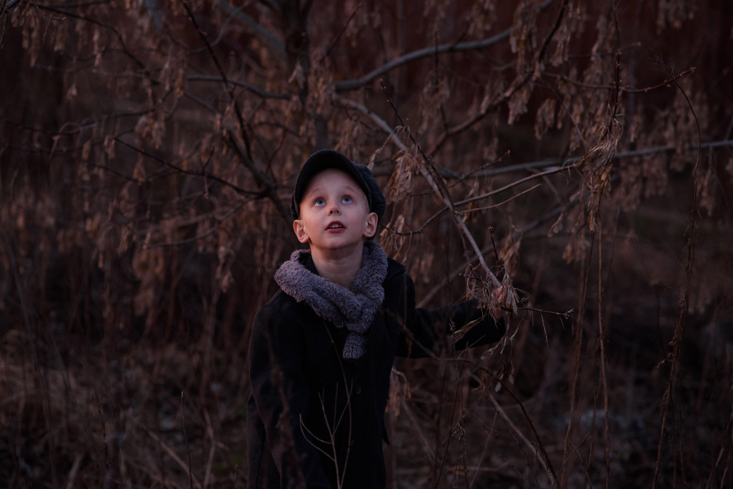 Юный Гаврош в поле. Анна Боровикова, фотограф Пушкино
