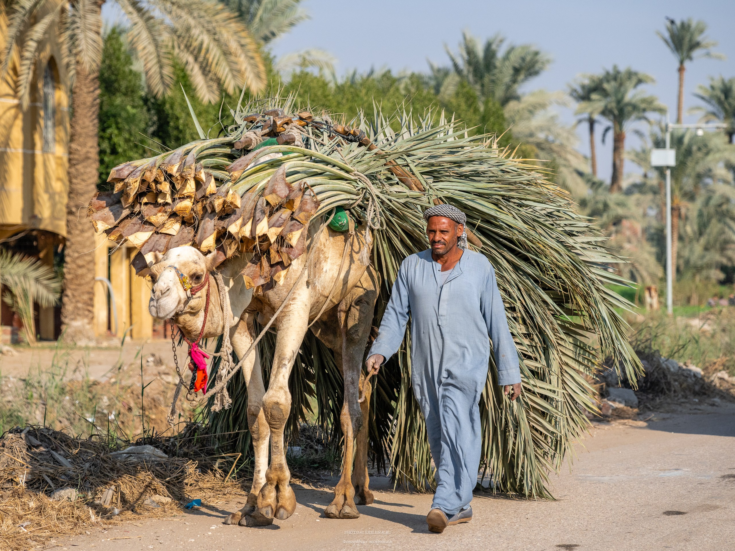 Каир самобытный и сумасшедший. Авторские стильные фотокартины