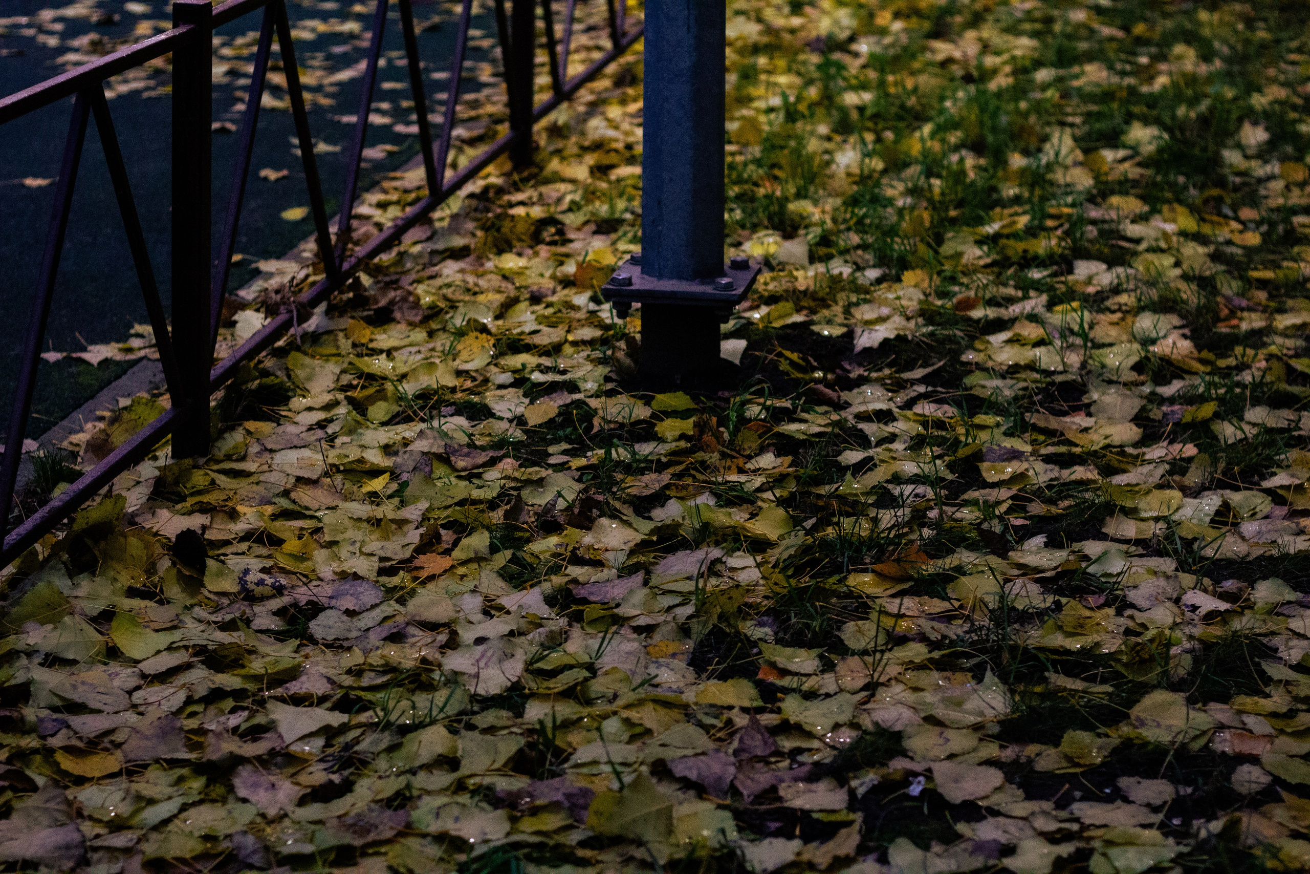 Осень в Москве. Фотограф Москва, портрет, стрит, репортаж. Художественная фотосессия