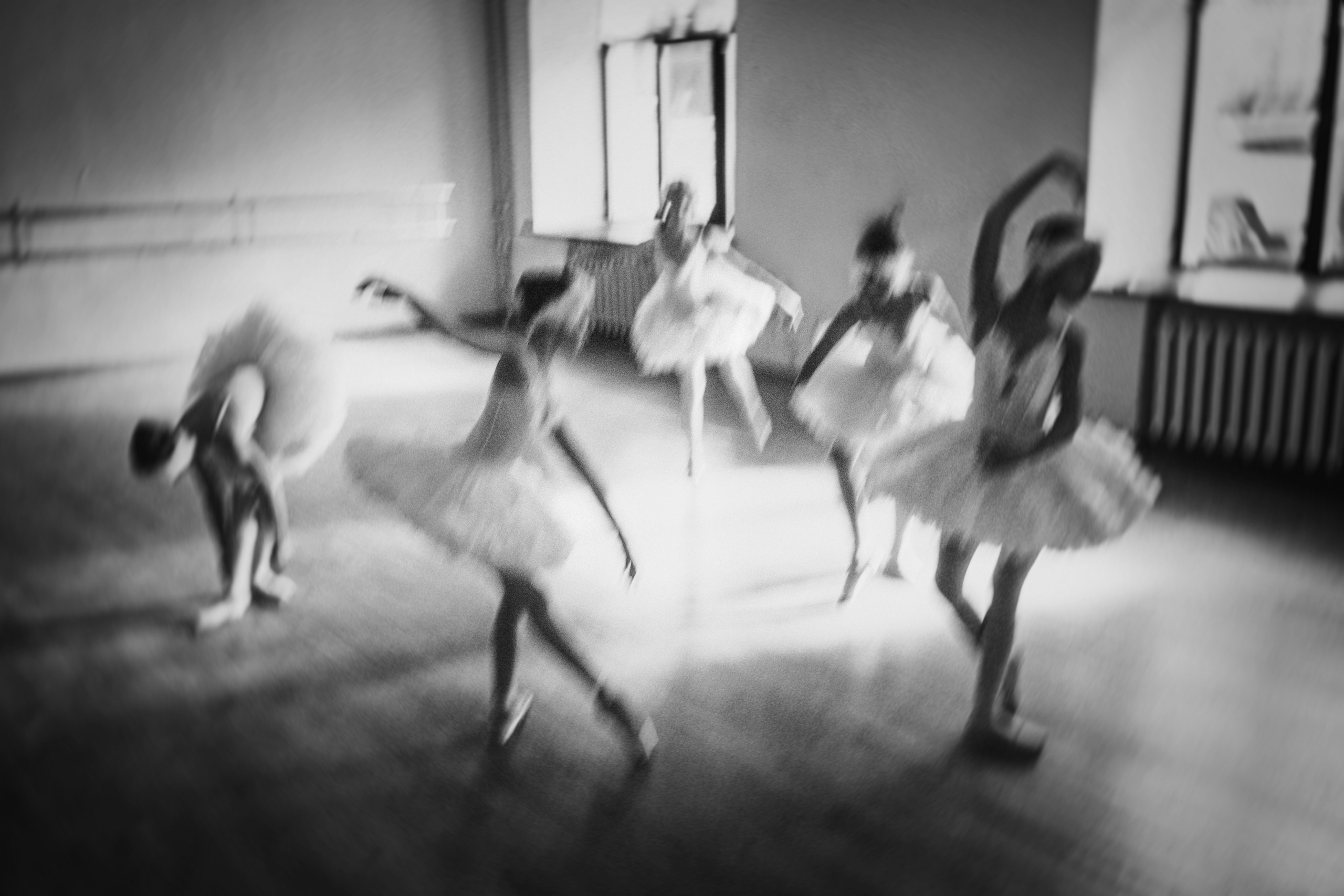 Одуванчики в пуантах. Женский семейный фотограф Тула Москва Захарова Анна