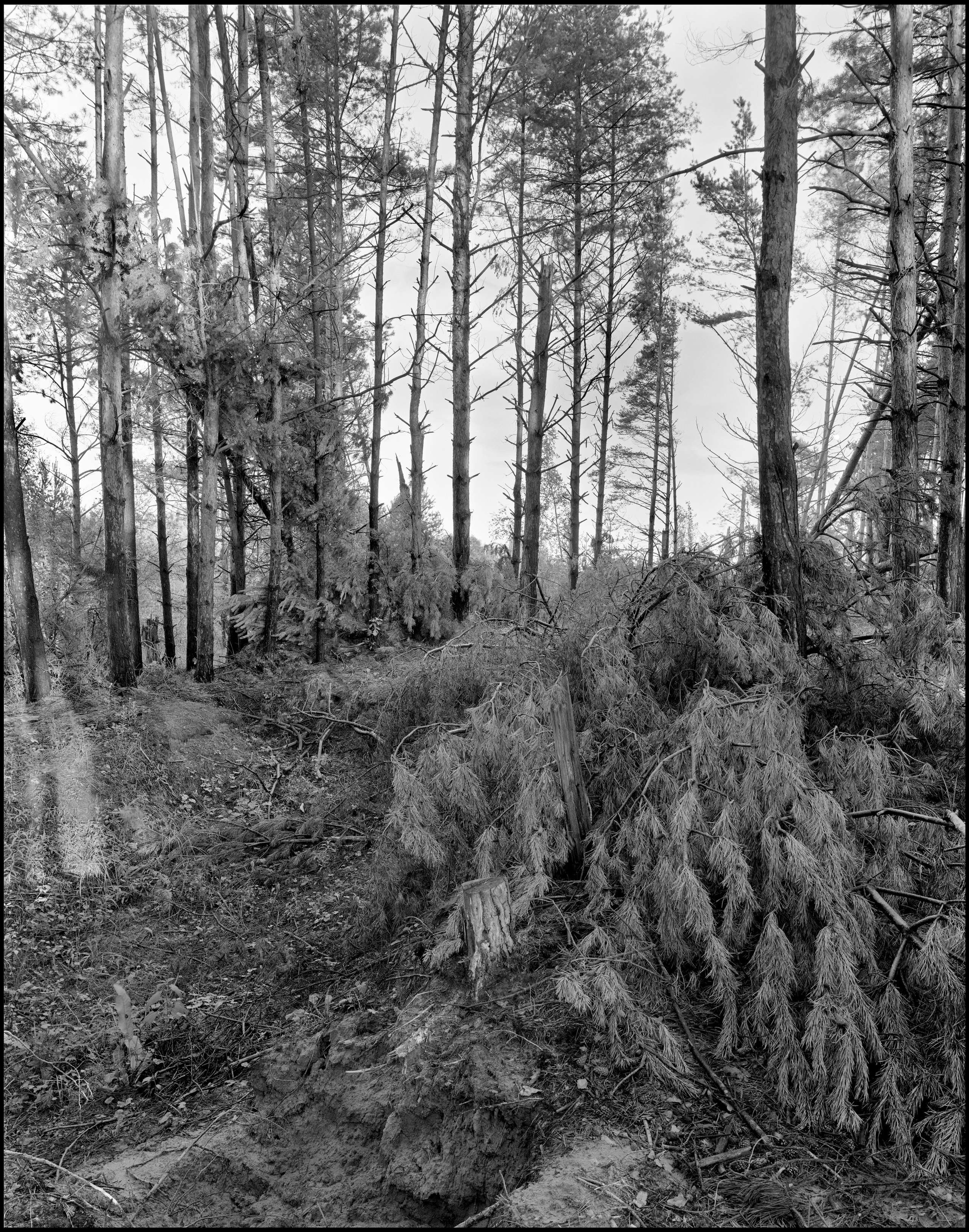 Landscape. Sergey Kondriuk art-photographer | artist