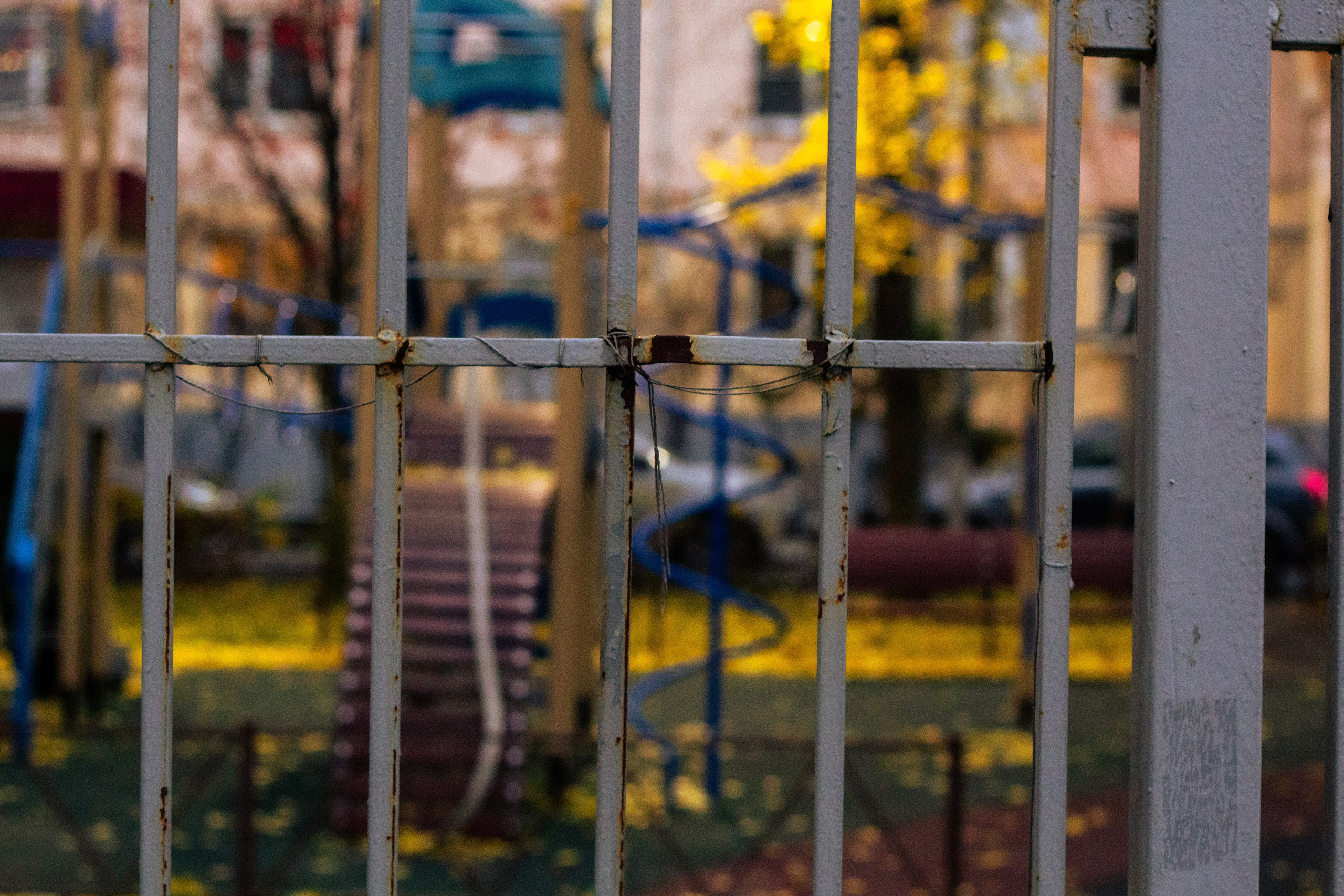 Осень в Москве. Фотограф Москва, портрет, стрит, репортаж. Художественная фотосессия