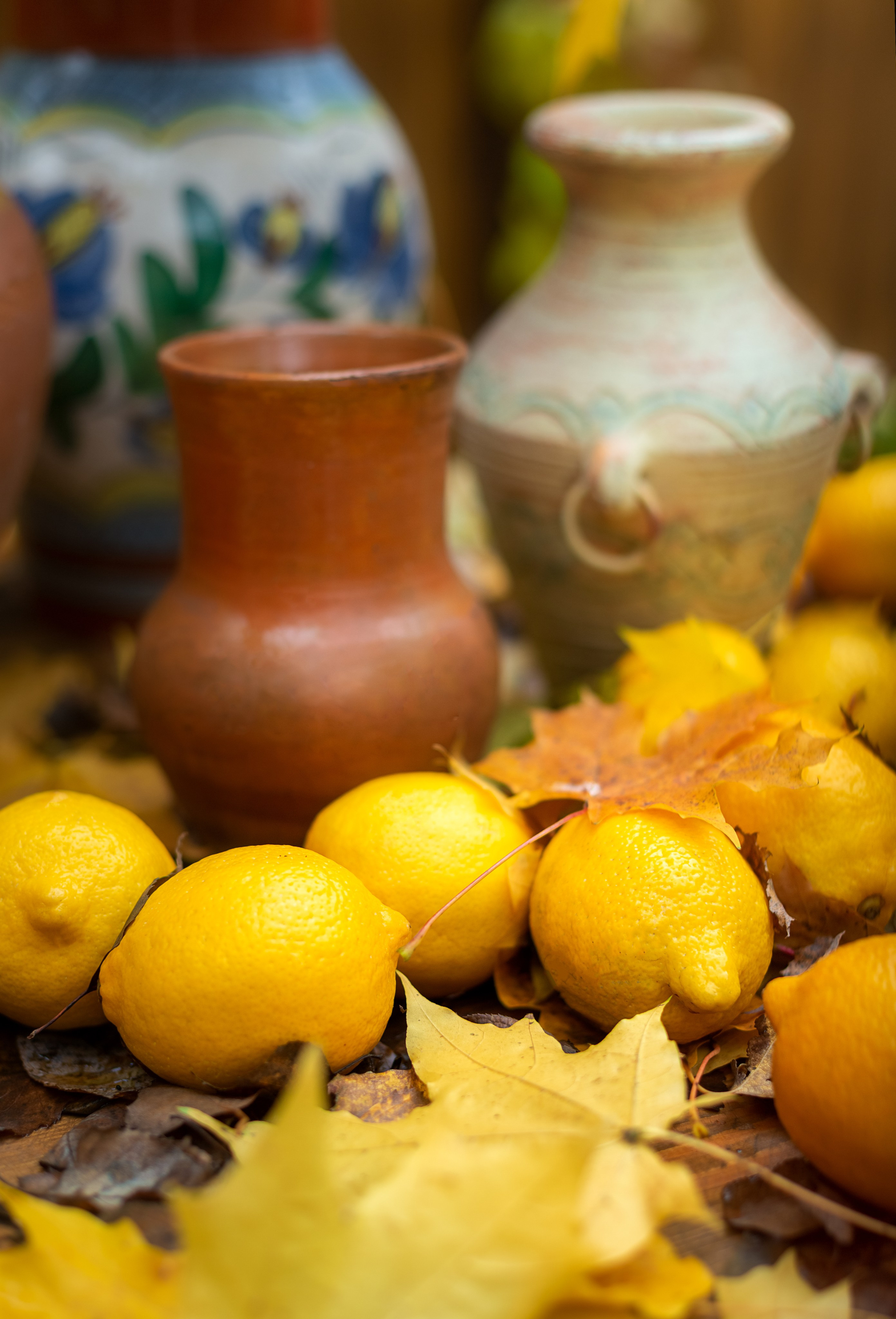 Гера на Вилле Росса. Профессиональный фотограф, фотохудожник, видеограф из Москвы