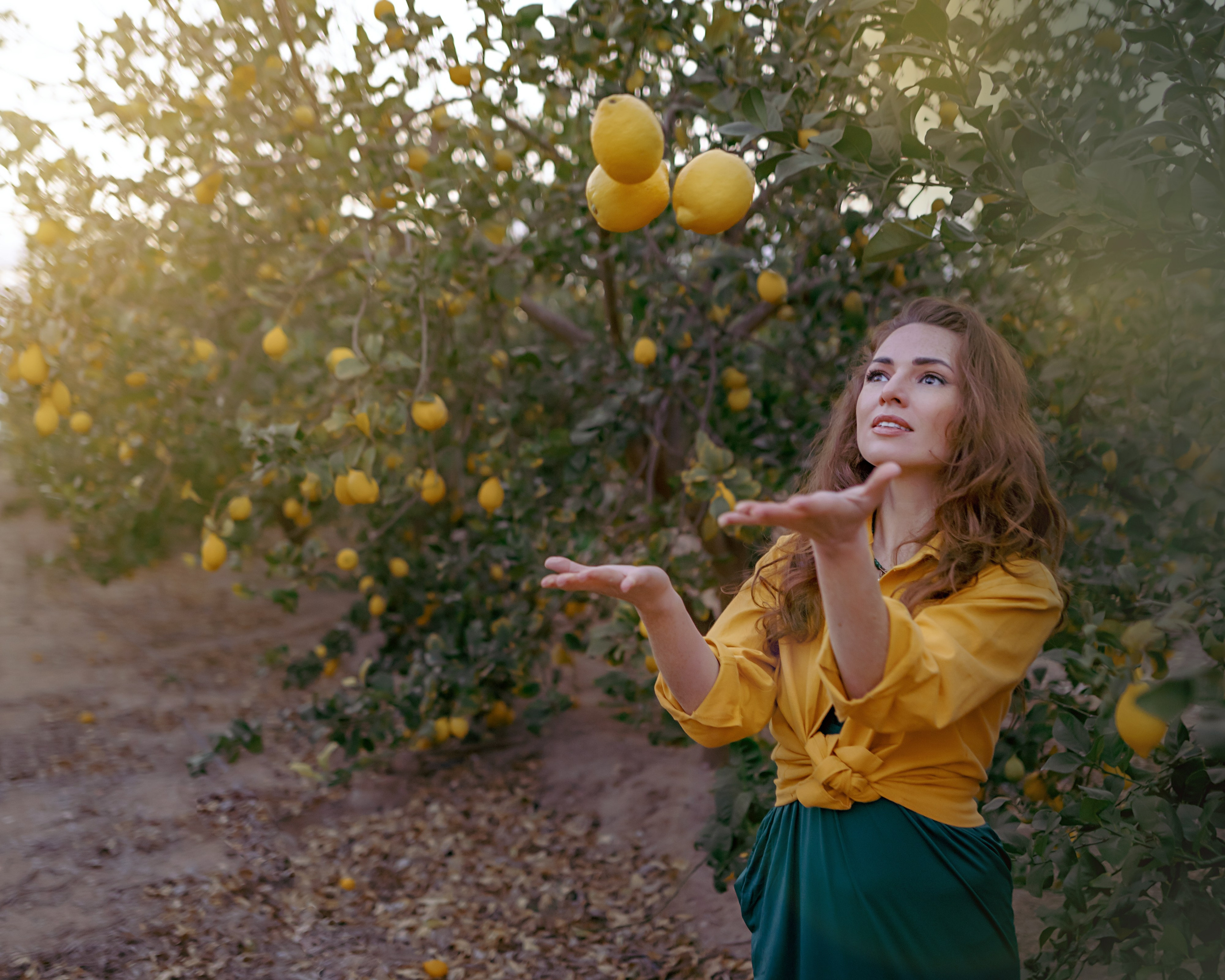 дфотосессия в саду лимонов в Бенидорме