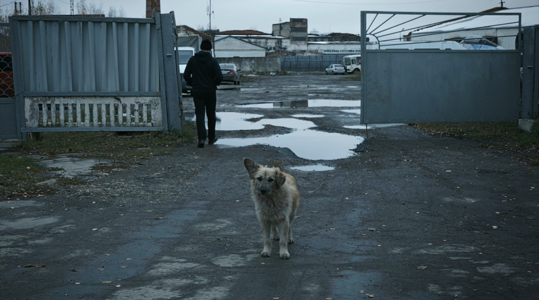 Простой взгляд на луну