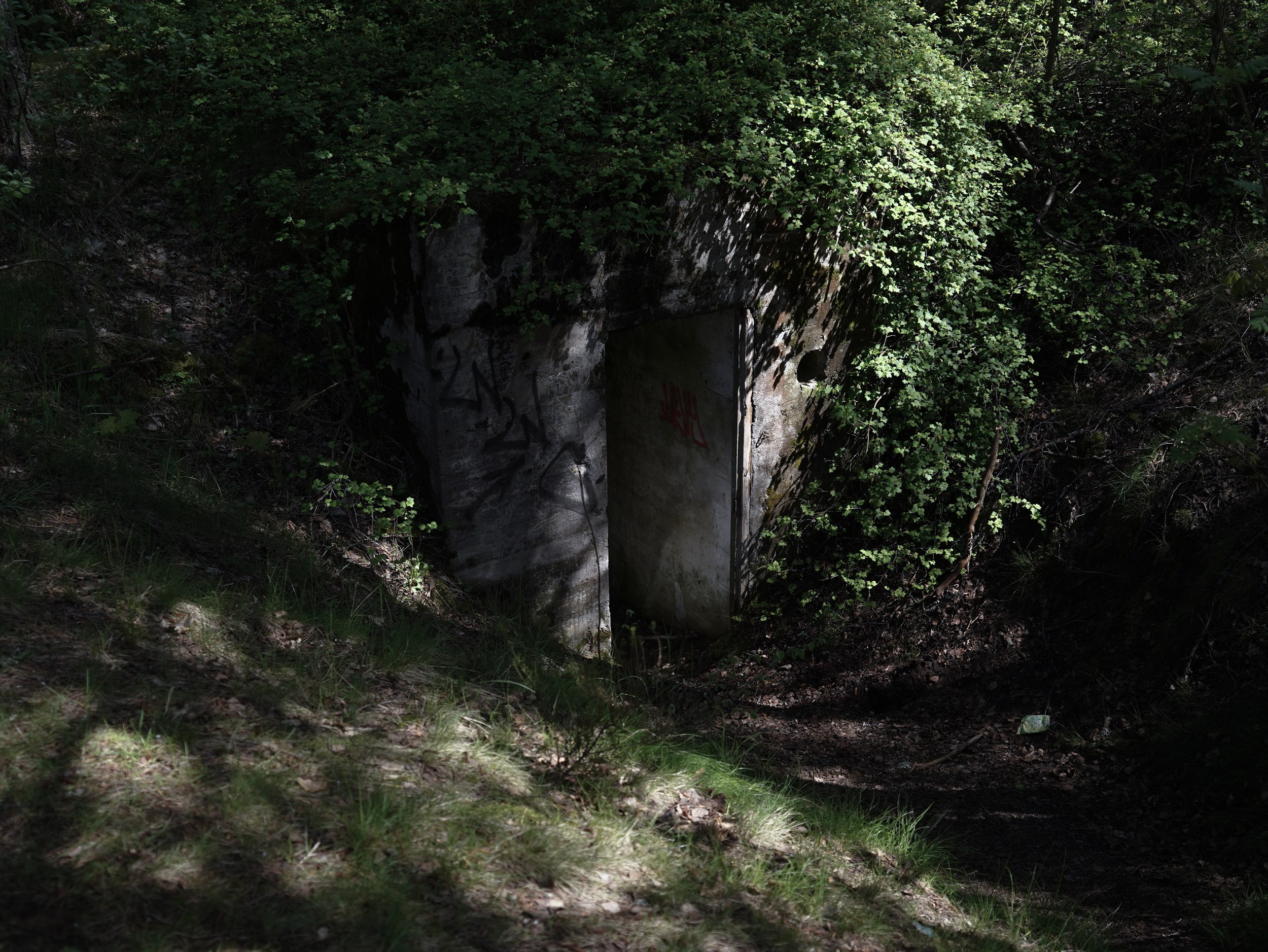 Смерть-гора (2025 — наст.вр). Главная