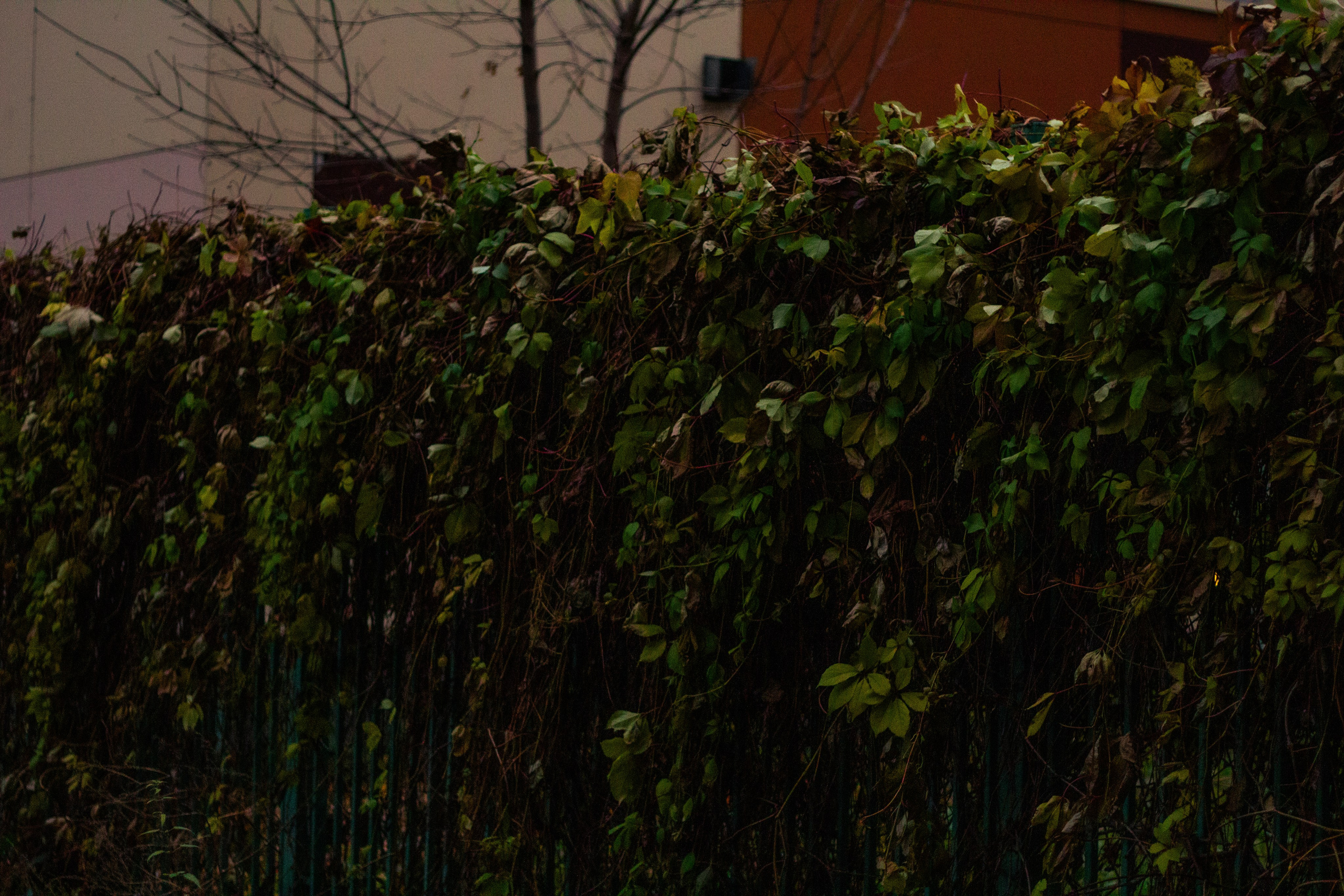 Осень в Москве. Фотограф Москва, портрет, стрит, репортаж. Художественная фотосессия