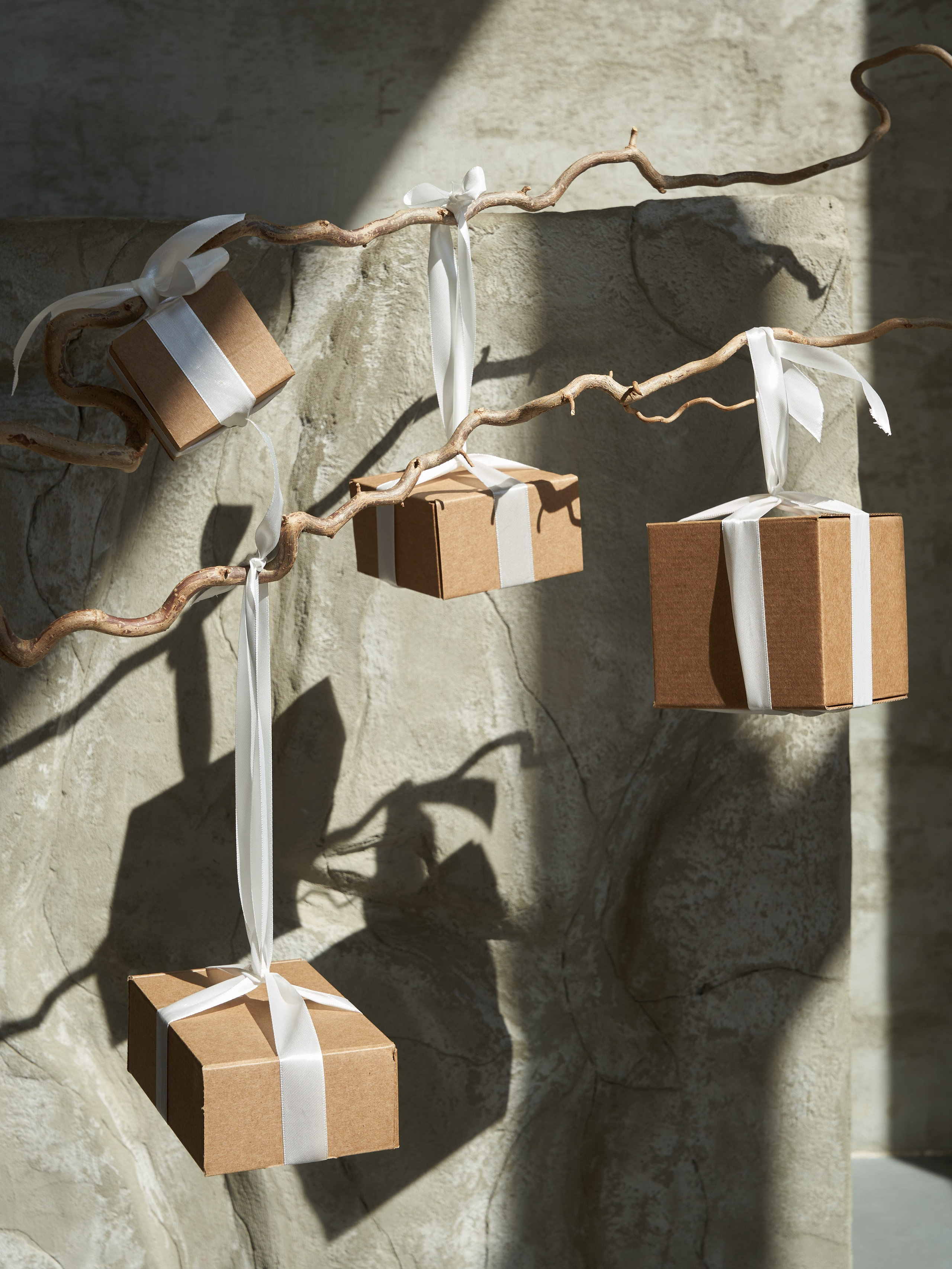 Профессиональная съемка для формирования привлекательного визуального контента.