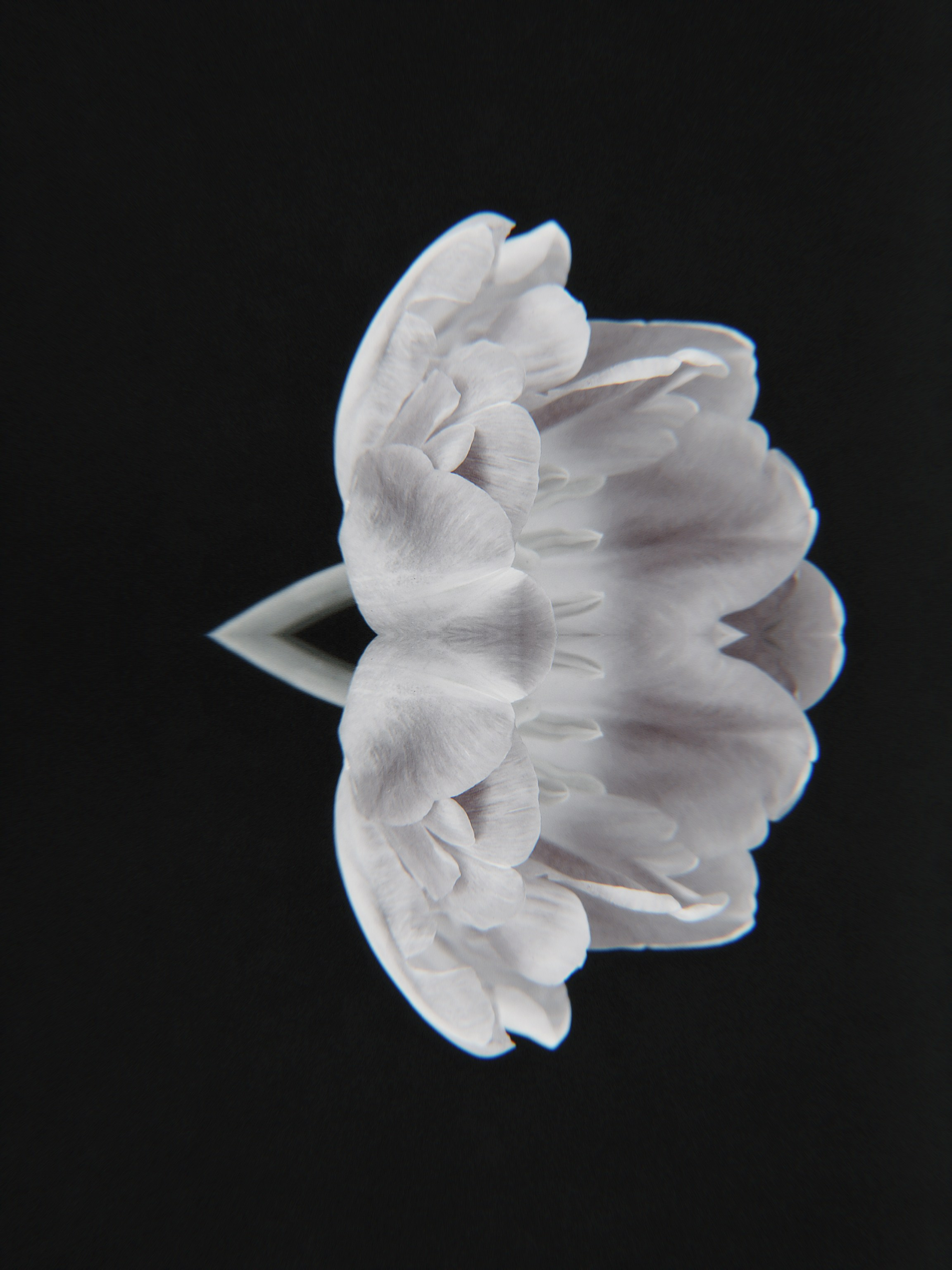 Фотограф из Санкт-Петербурга/Катерина Зайцева