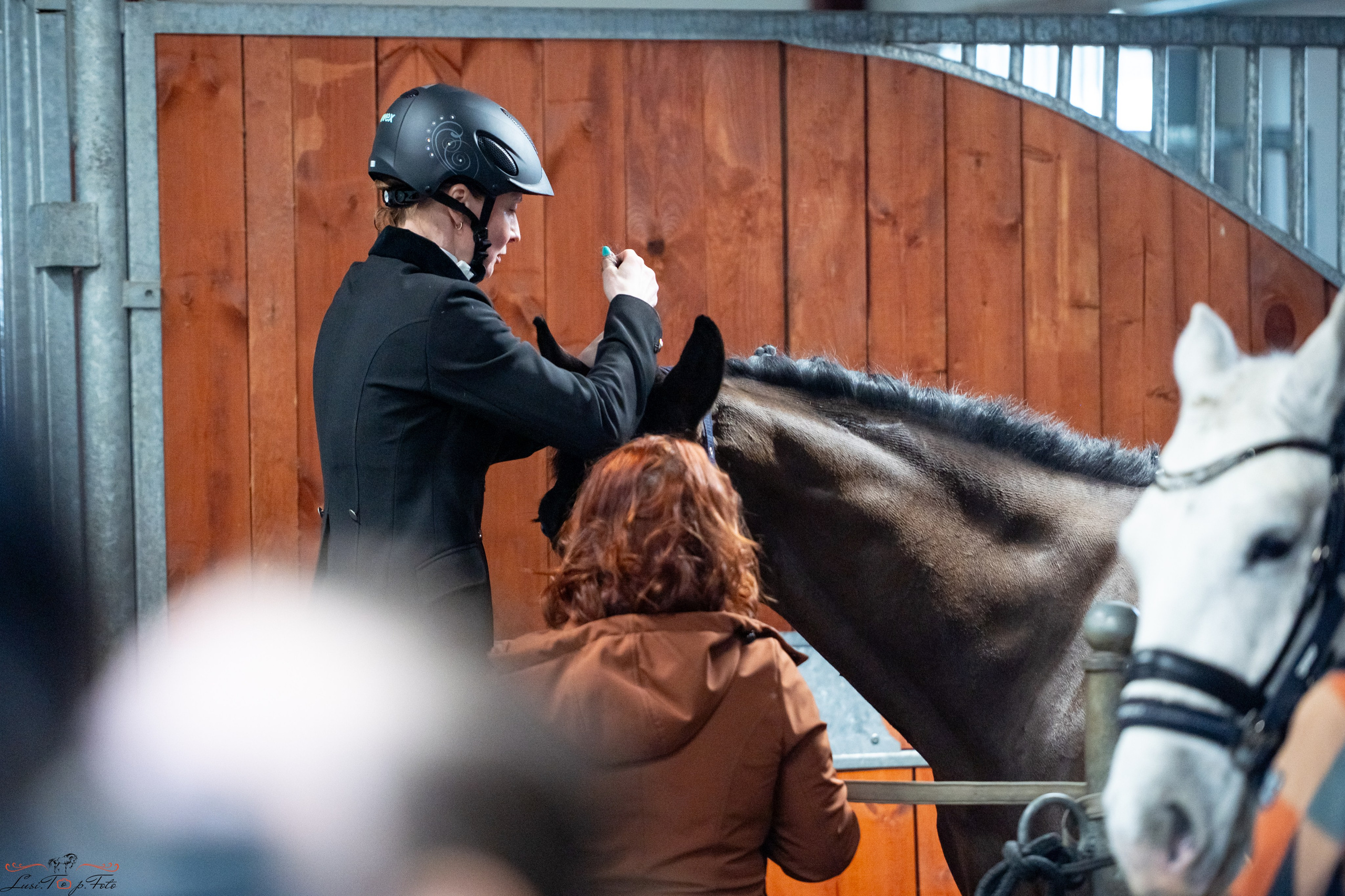 Эквипарк 6 этап Кубка Клубов. Конный и фотограф с животными в Твери Топталова Люся